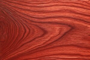 Red maple wood grain