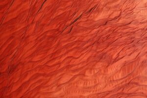 Red maple wood grain