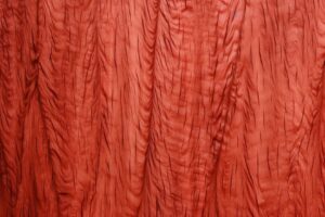 Red maple wood grain