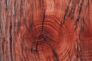 Redwood wood