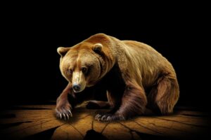 Stock Market Bear Recession Bears