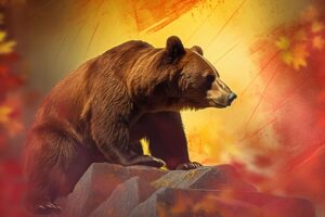 Stock Market Bear Recession Bears