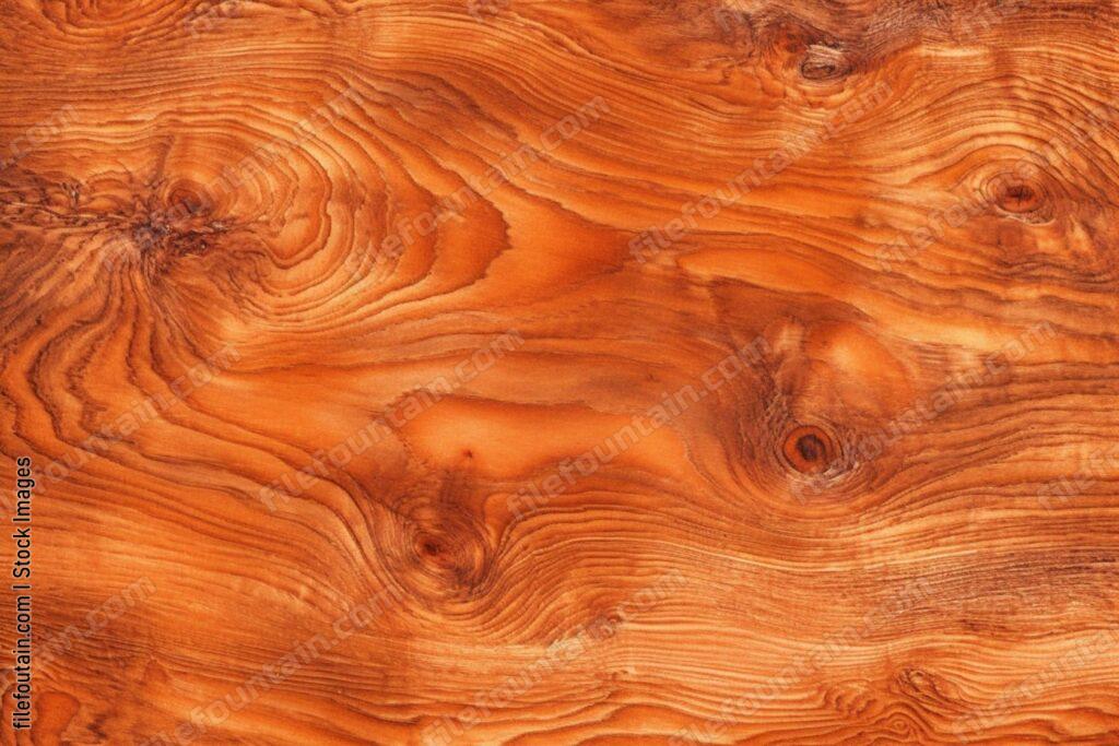 Yew wood grain Illustraion FileFountain