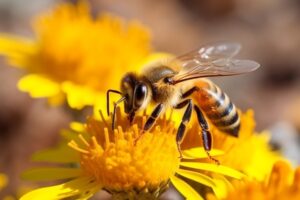 Honeybee