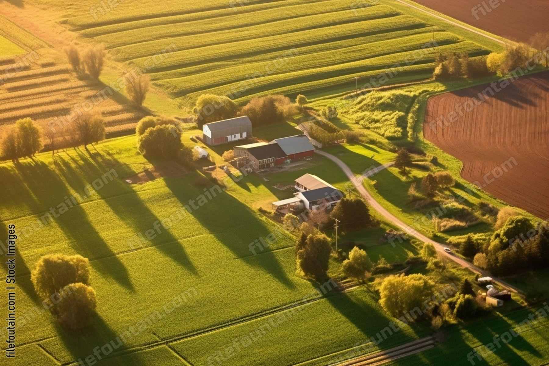 Aeriel View Of A Farm