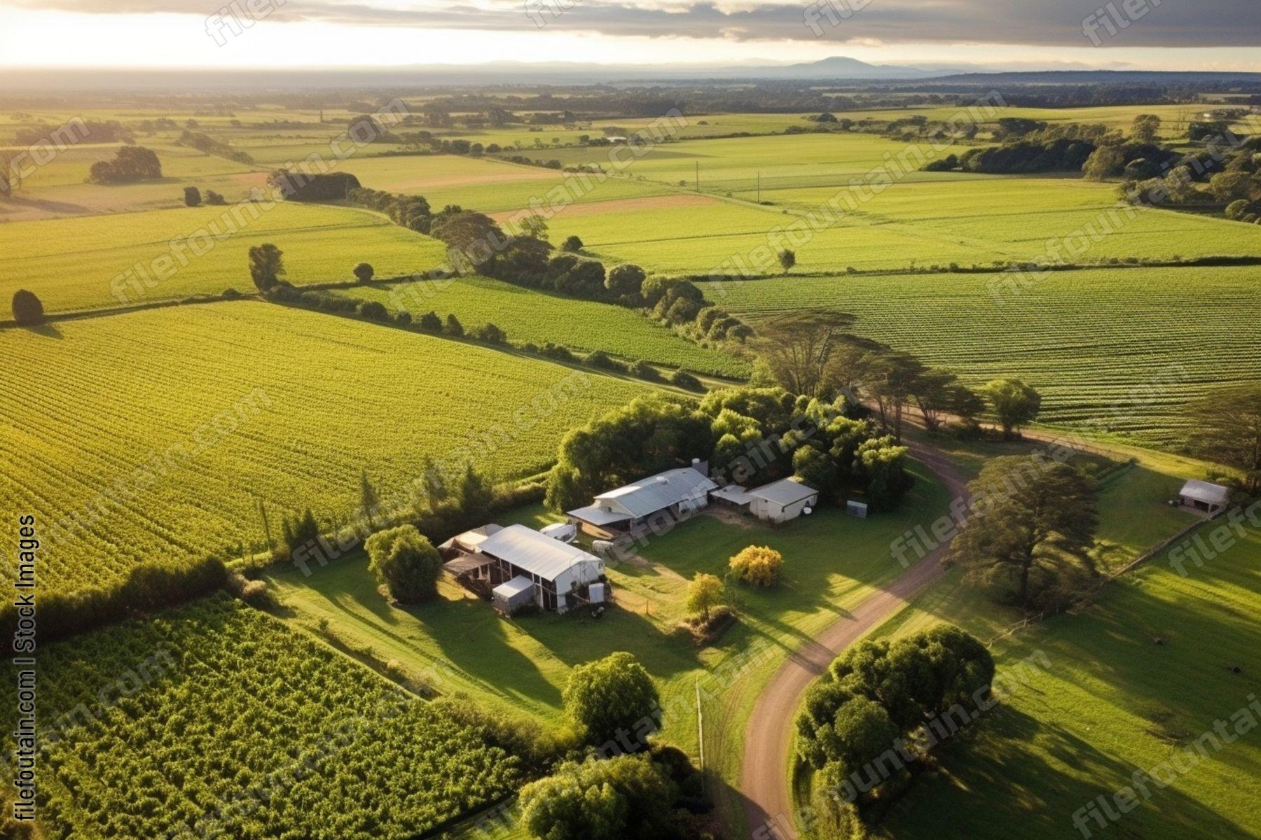 Aeriel View Of A Farm