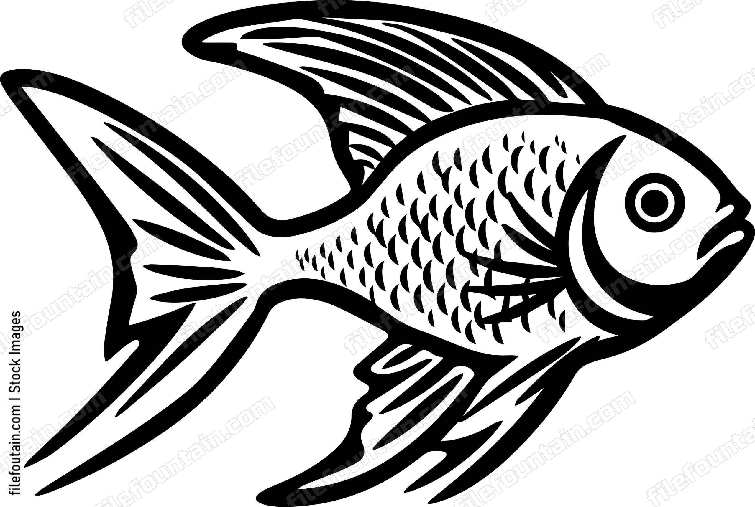 Aquarium Fish