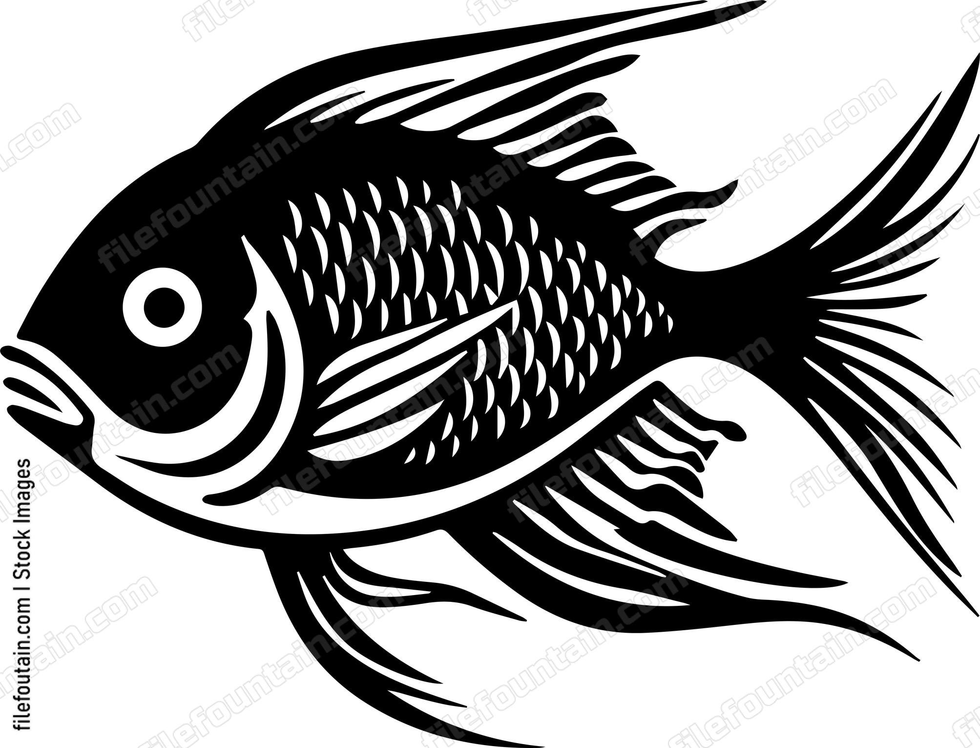 Aquarium Fish