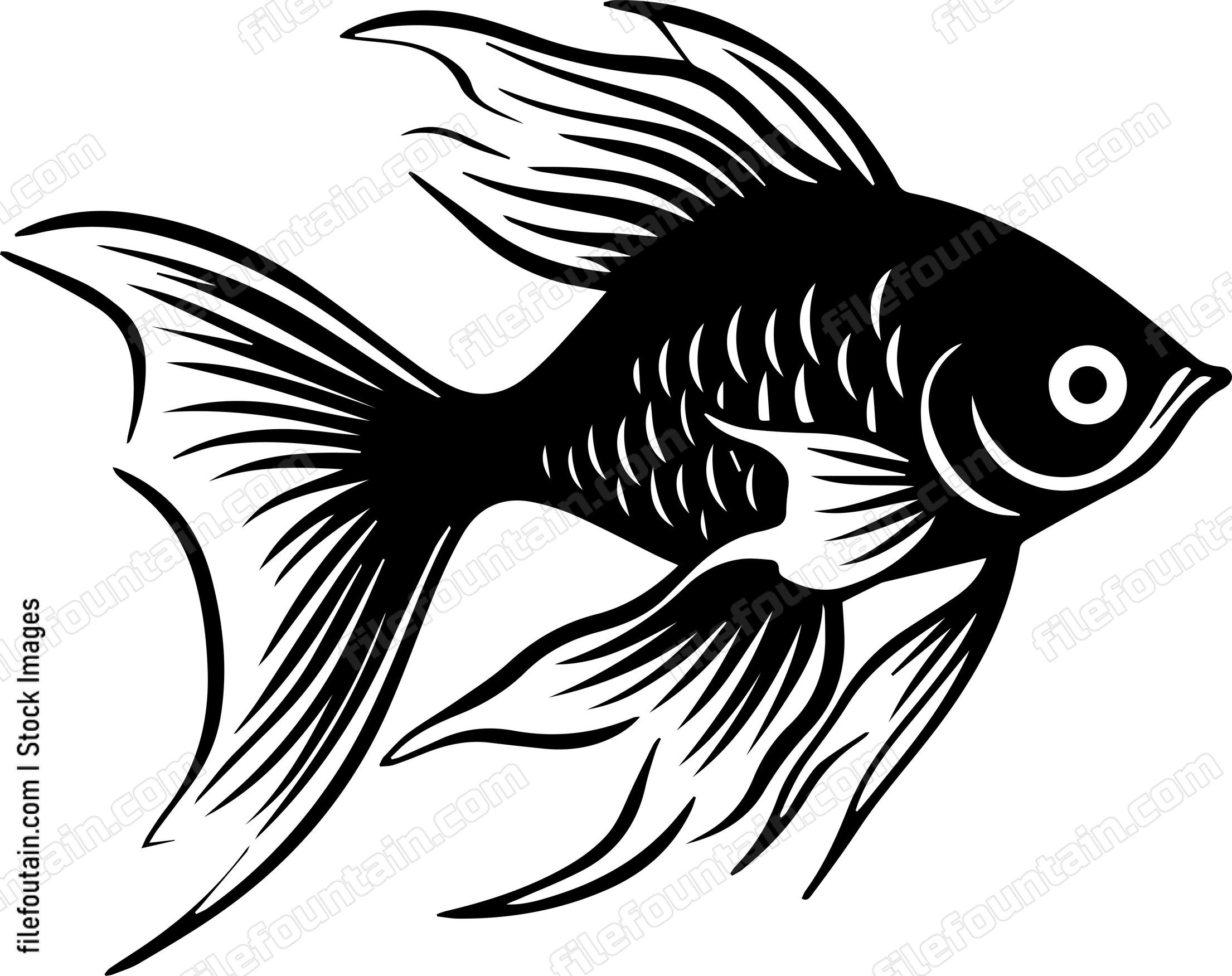 Aquarium Fish