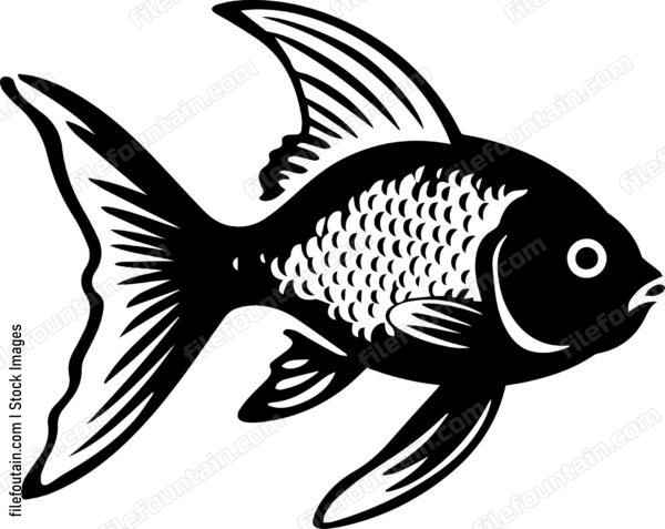 Aquarium Fish