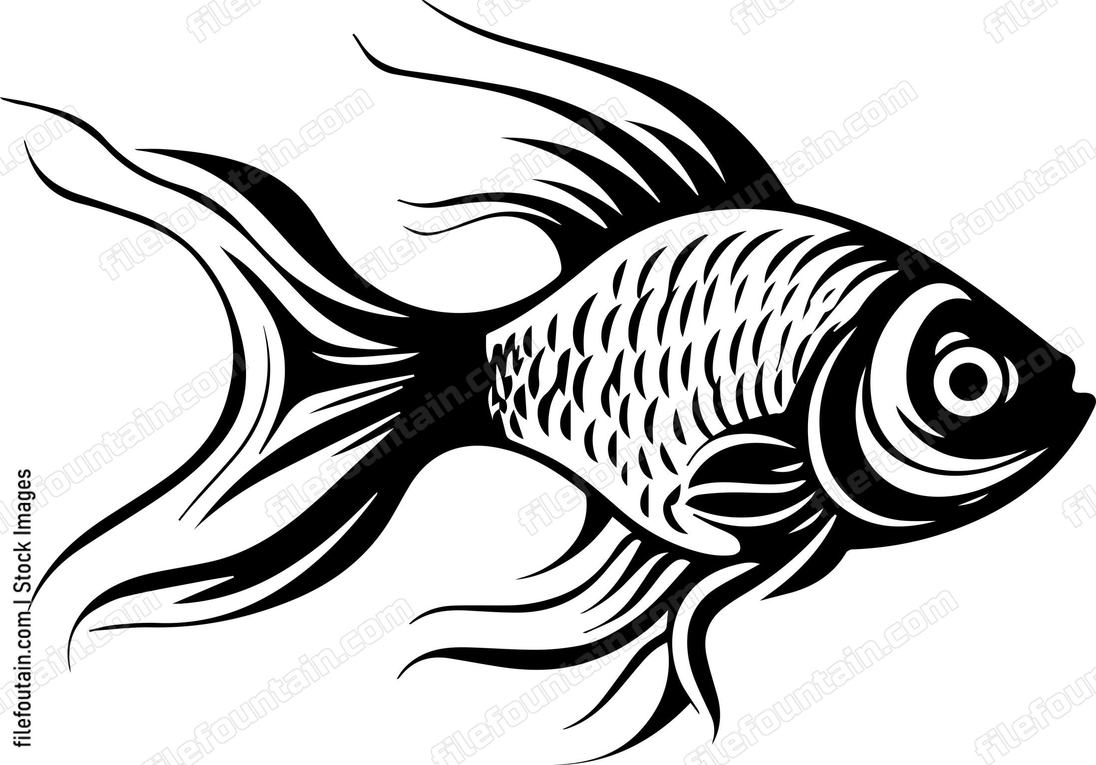 Aquarium Fish