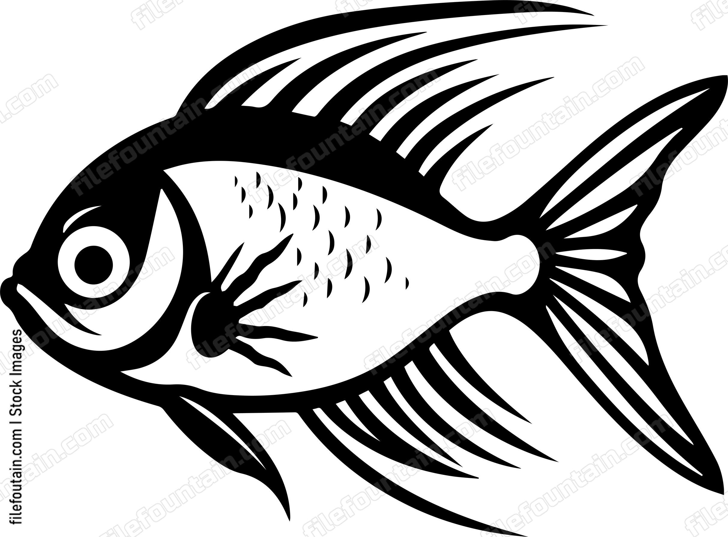 Aquarium Fish