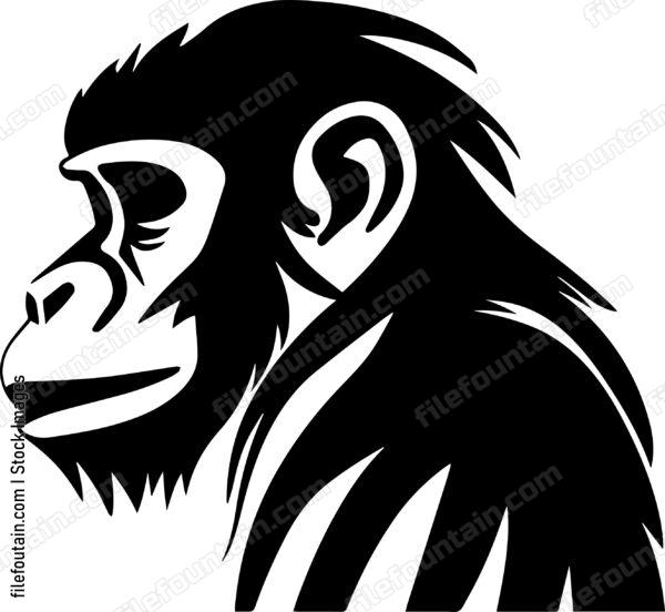 Baboon