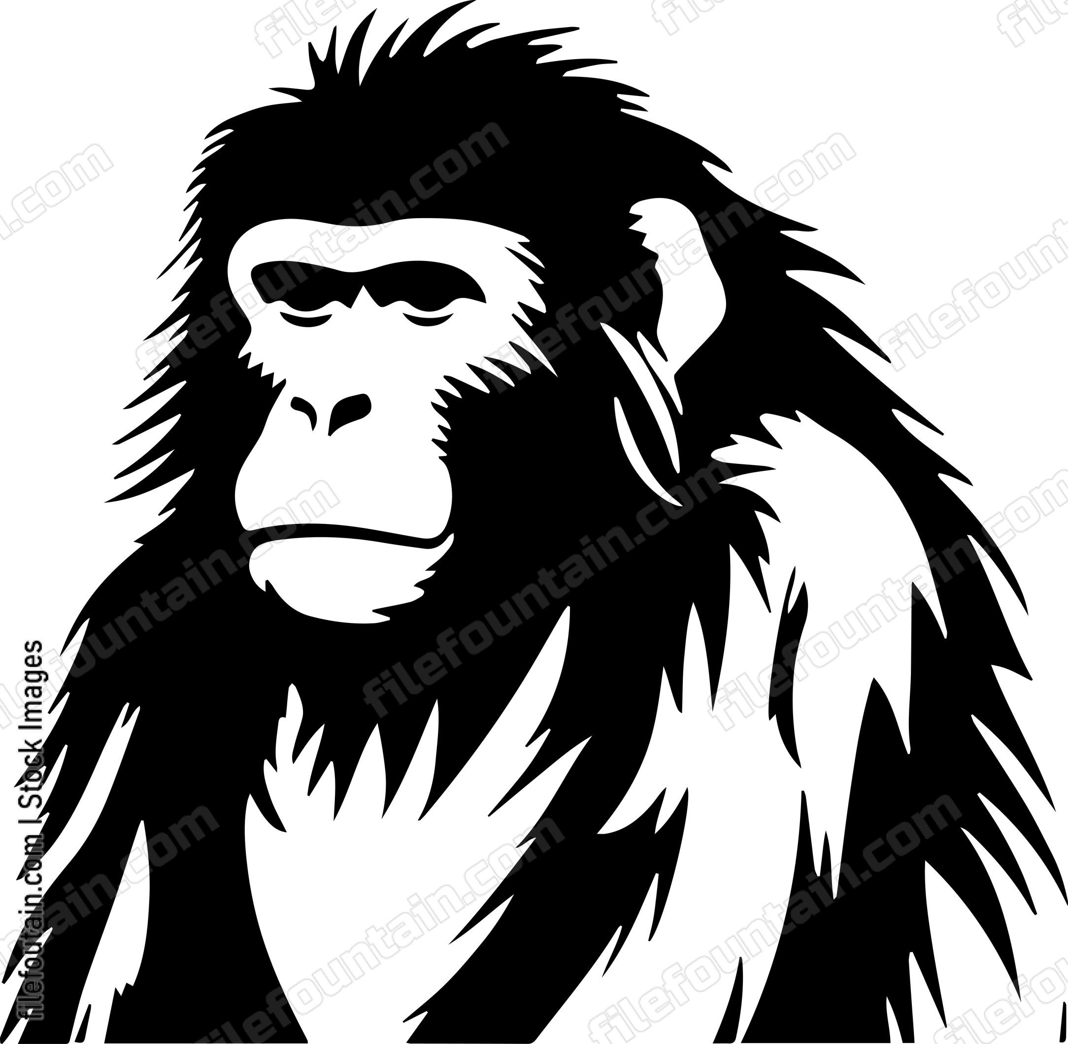 Baboon