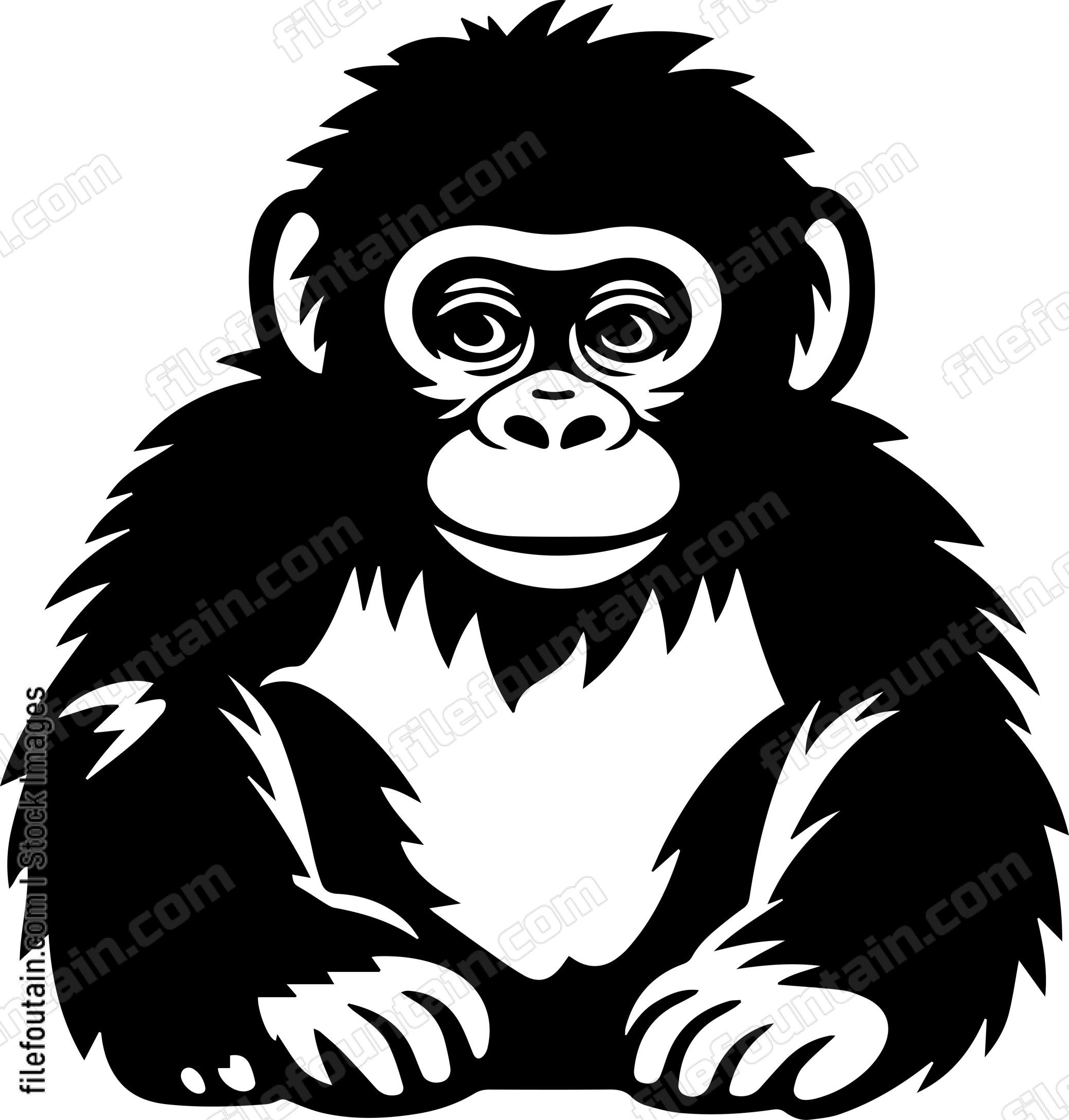 Baby Gorilla