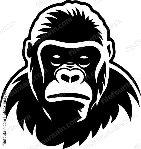 Baby Gorilla