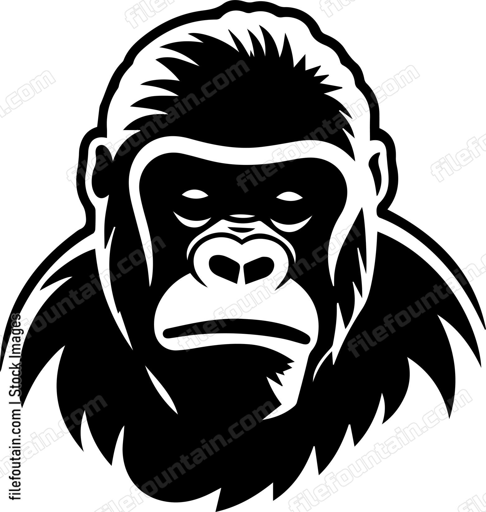 Baby Gorilla