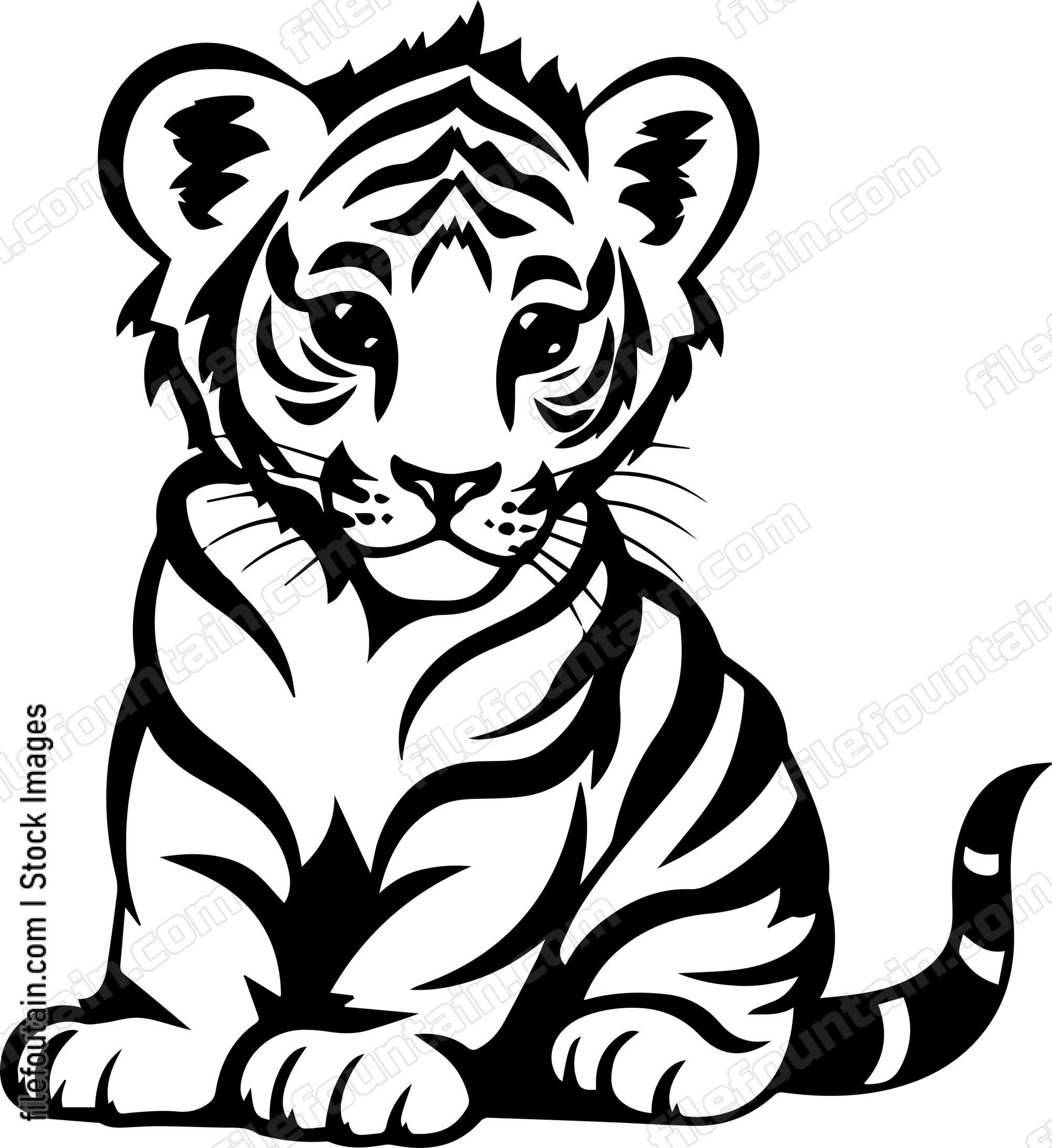 Baby Tiger