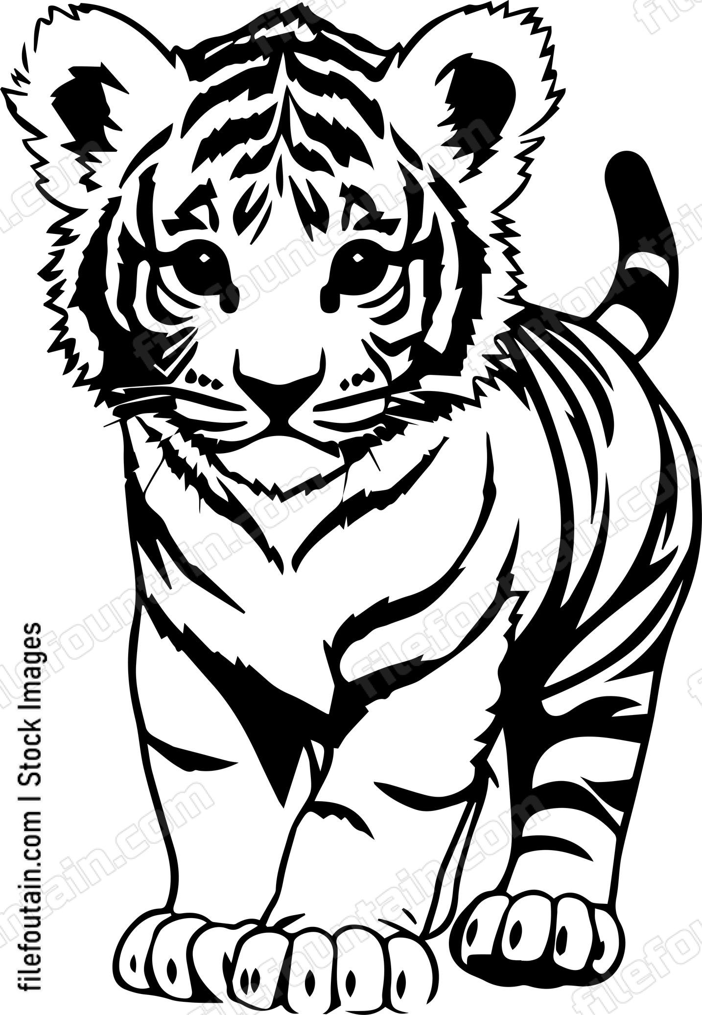 Baby Tiger