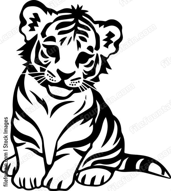 Baby Tiger
