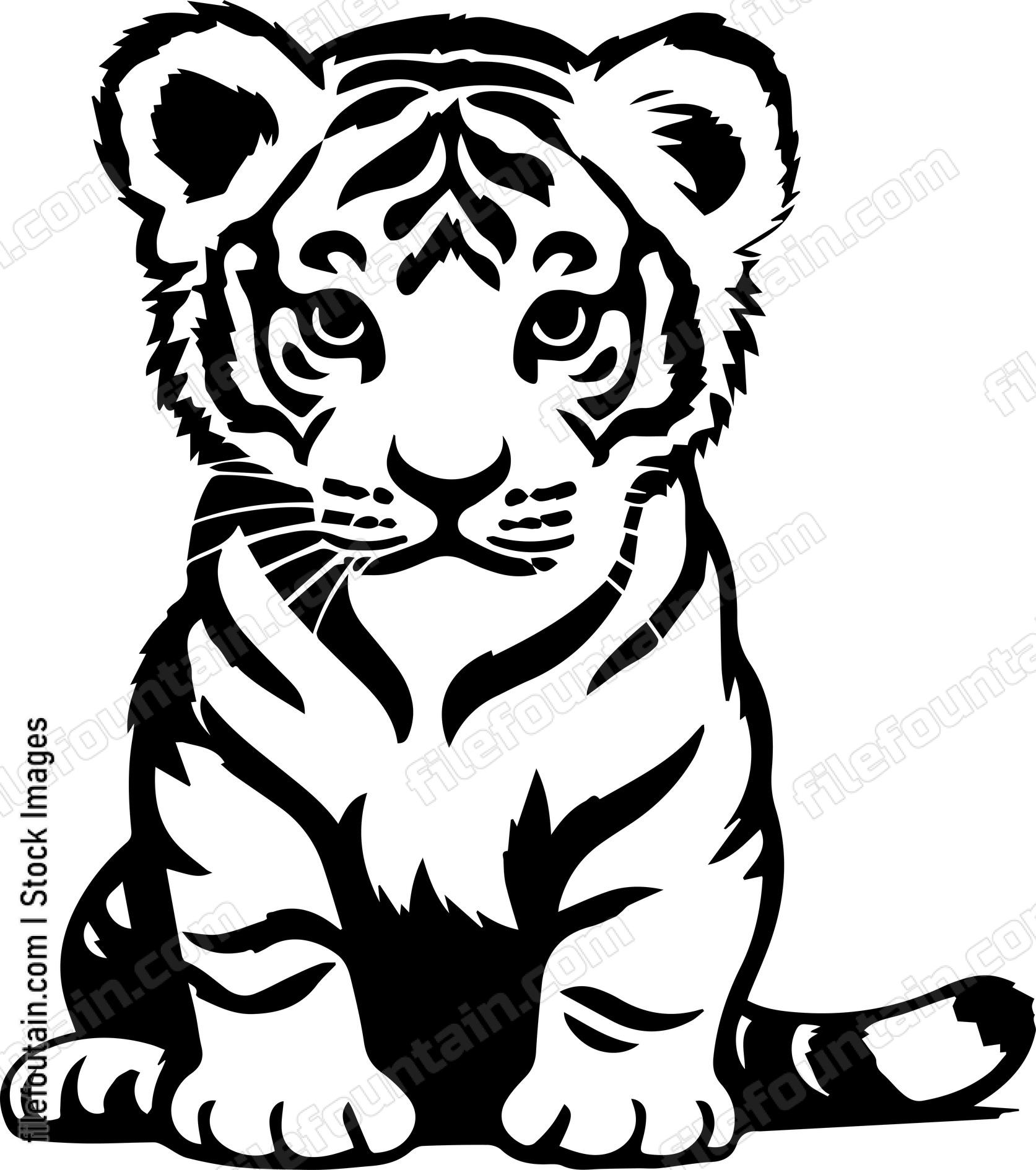 Baby Tiger