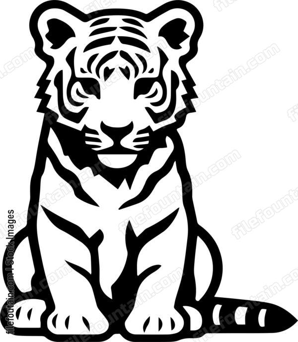 Baby Tiger