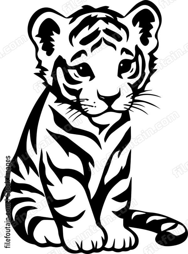 Baby Tiger