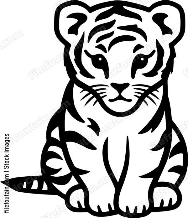 Baby Tiger