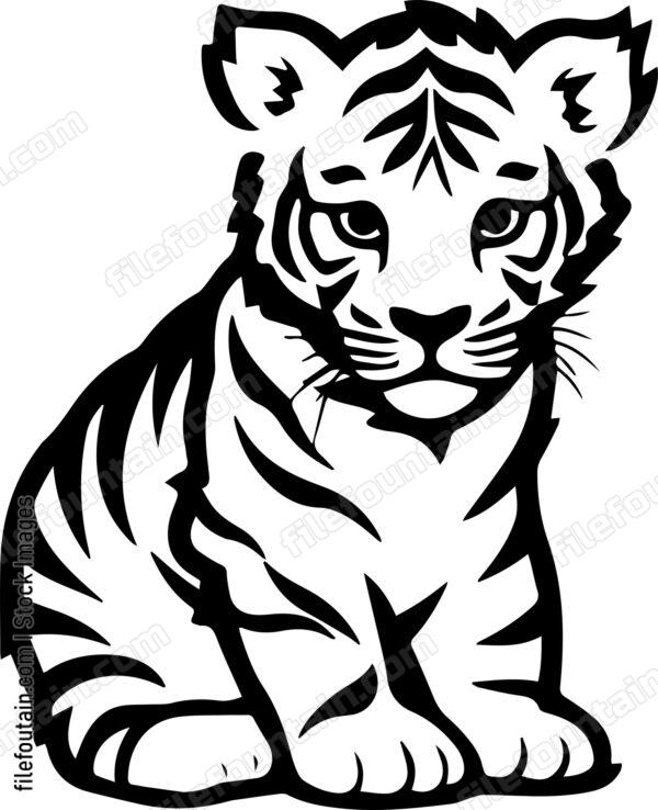 Baby Tiger