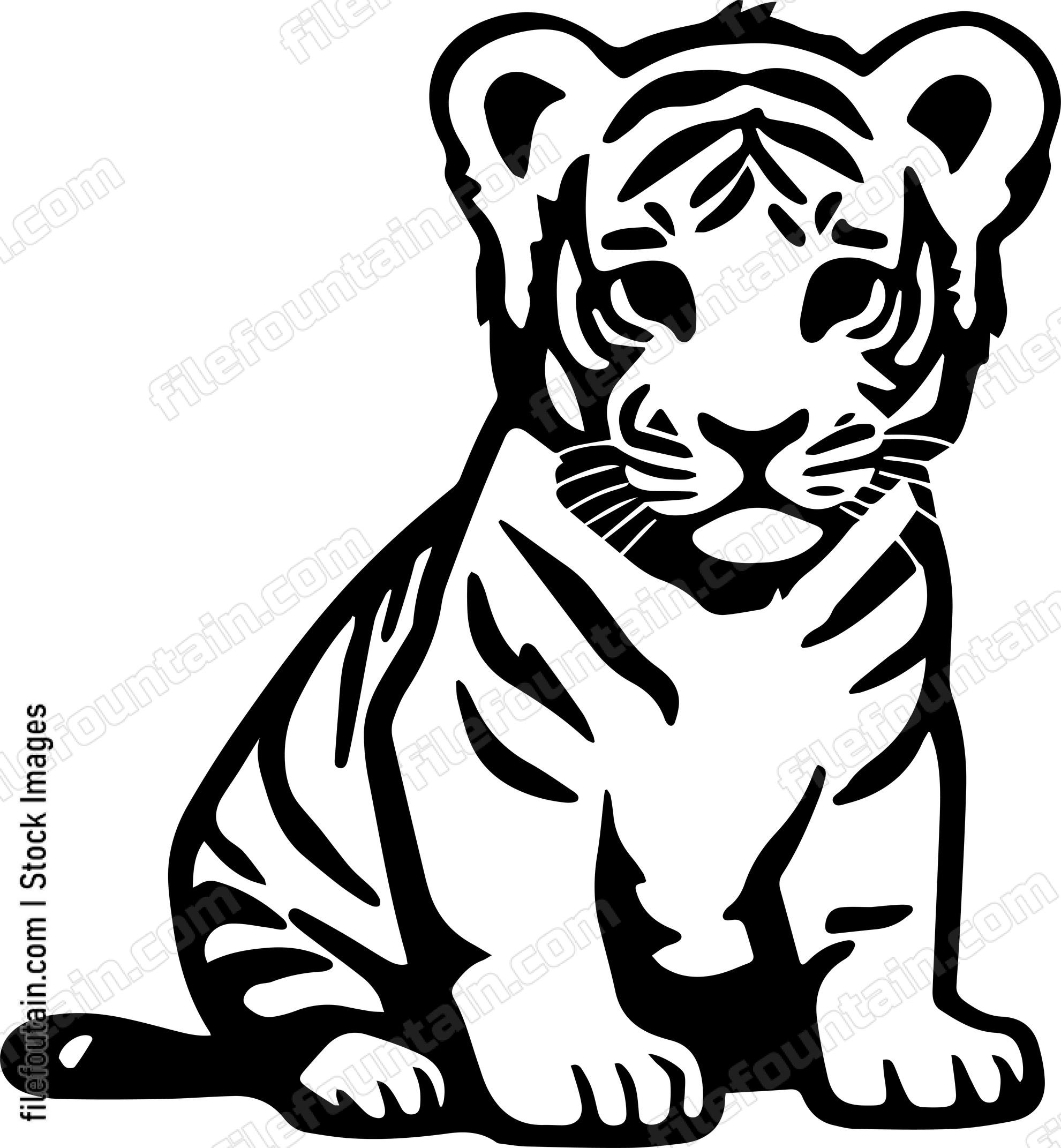 Baby Tiger