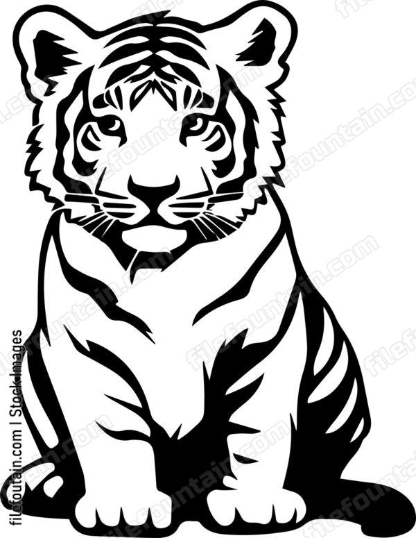 Baby Tiger