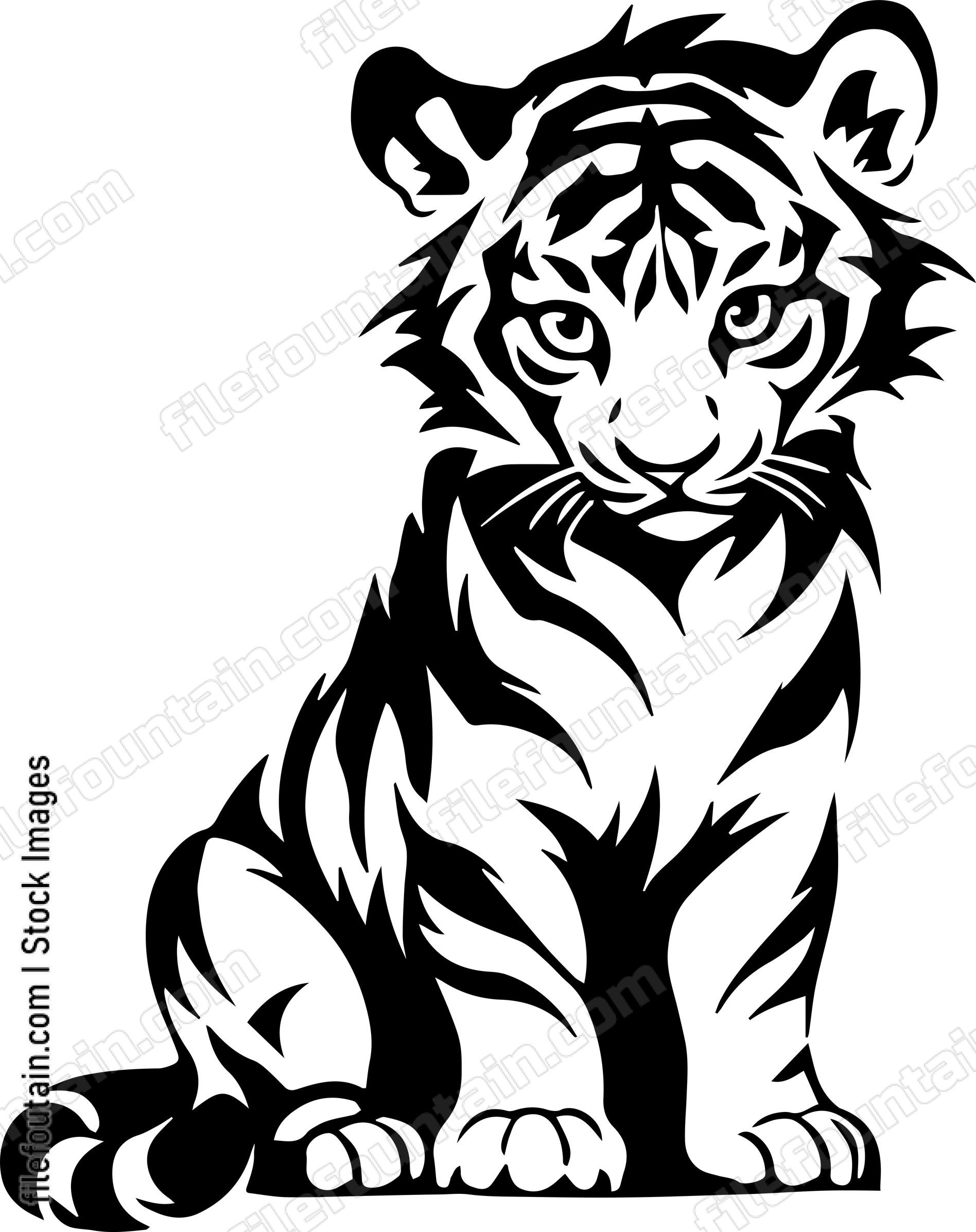 Baby Tiger