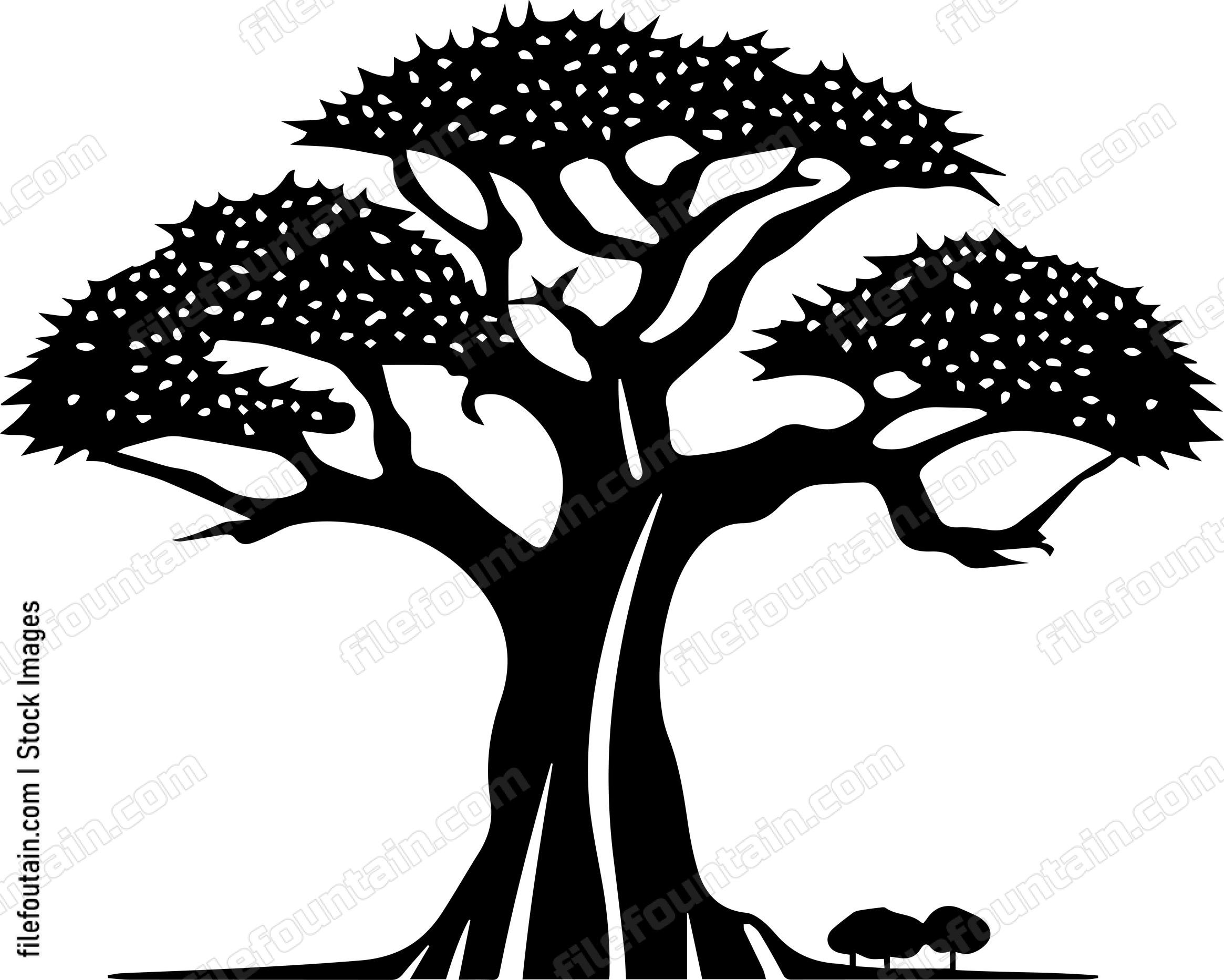 Baobab Tree