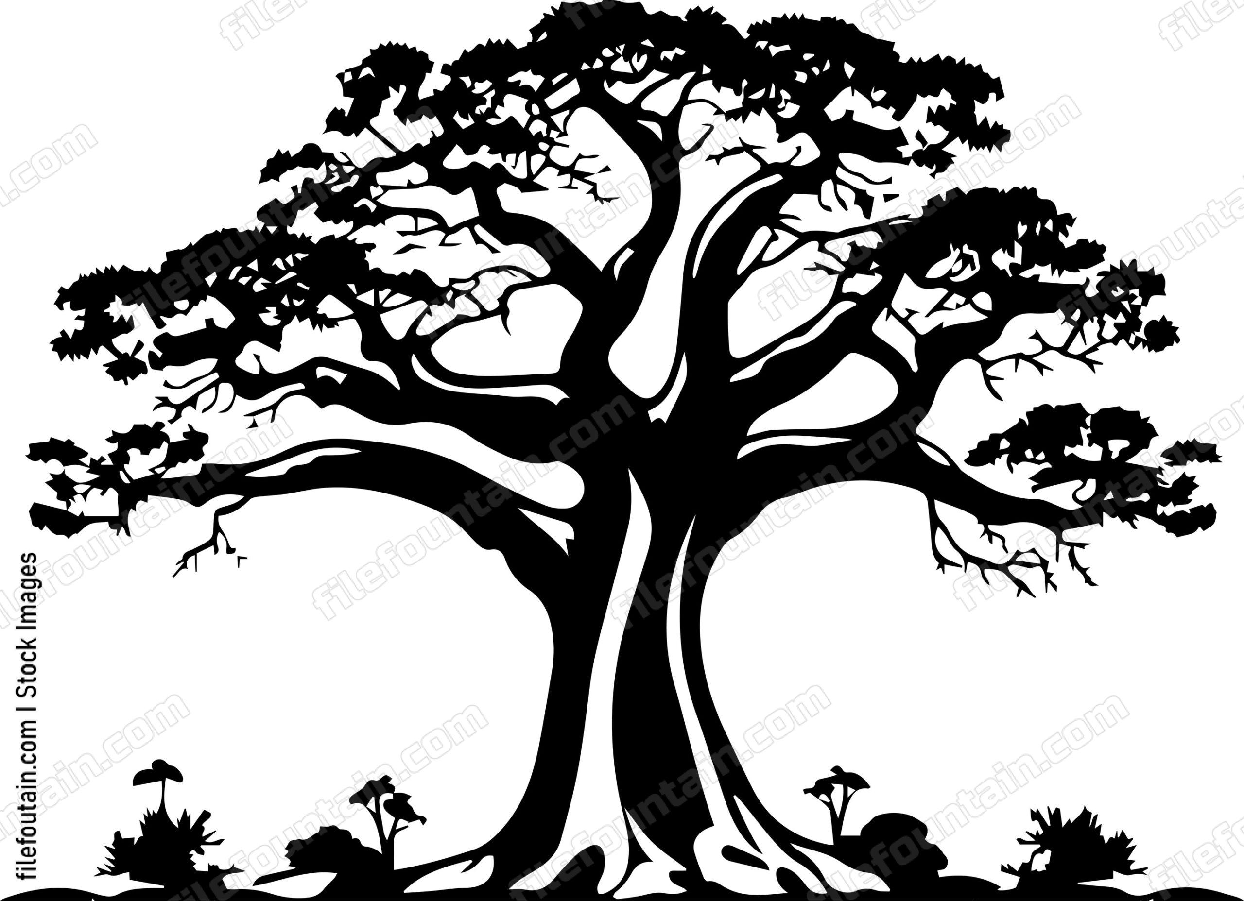 Baobab Tree
