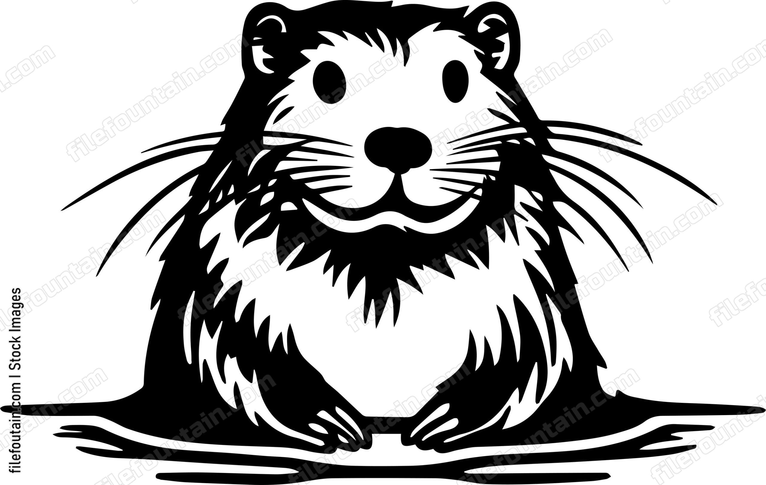 Beaver