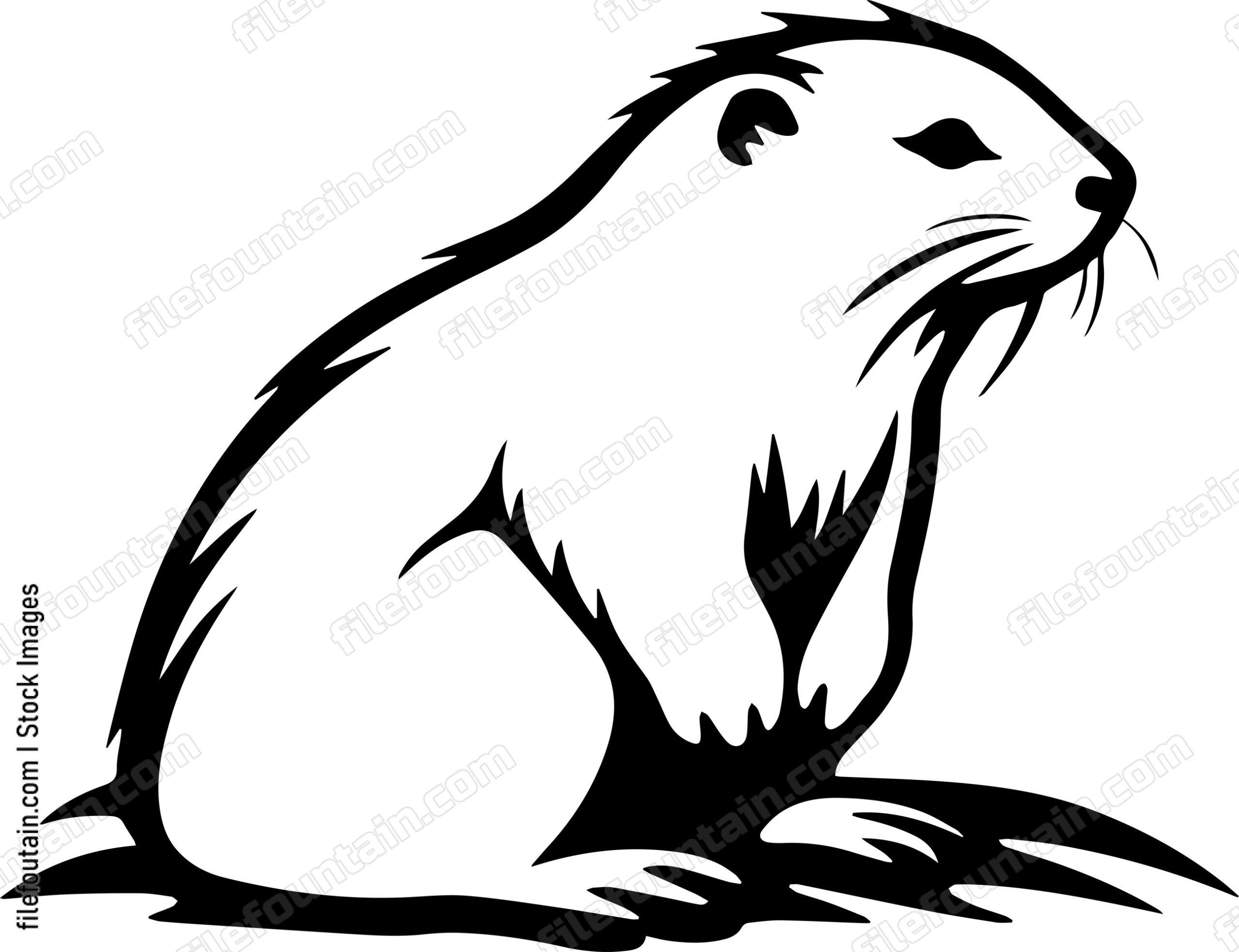 Beaver
