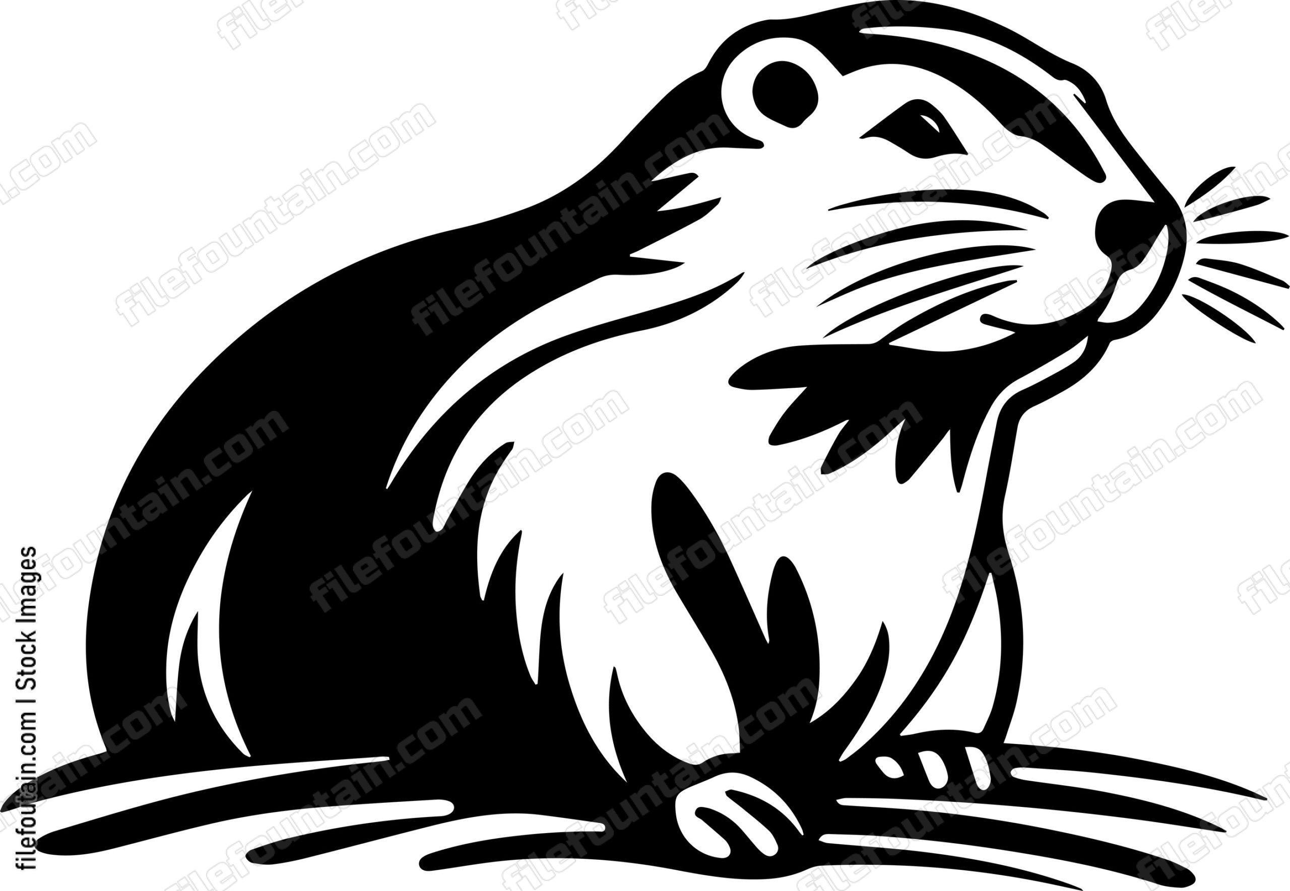 Beaver