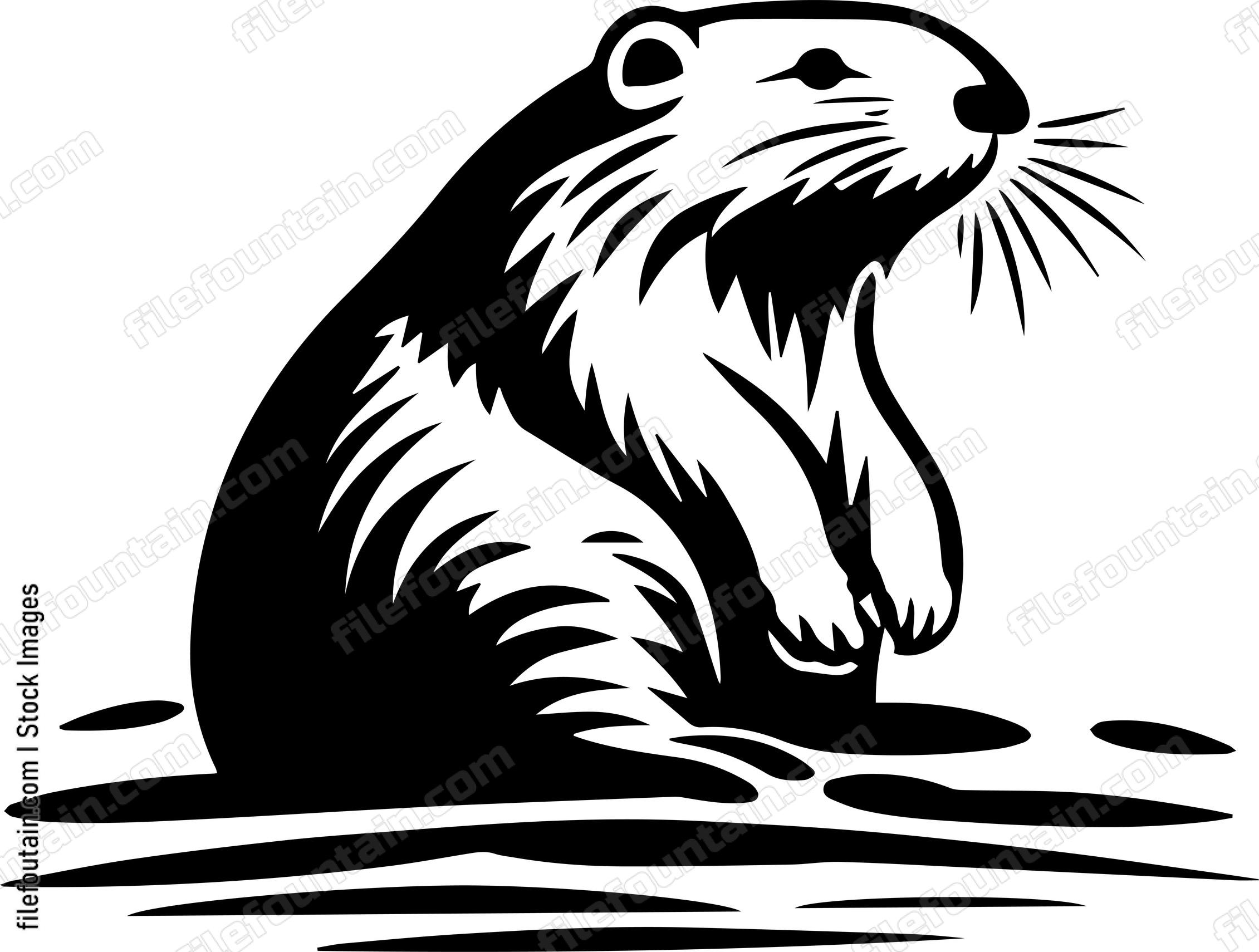 Beaver