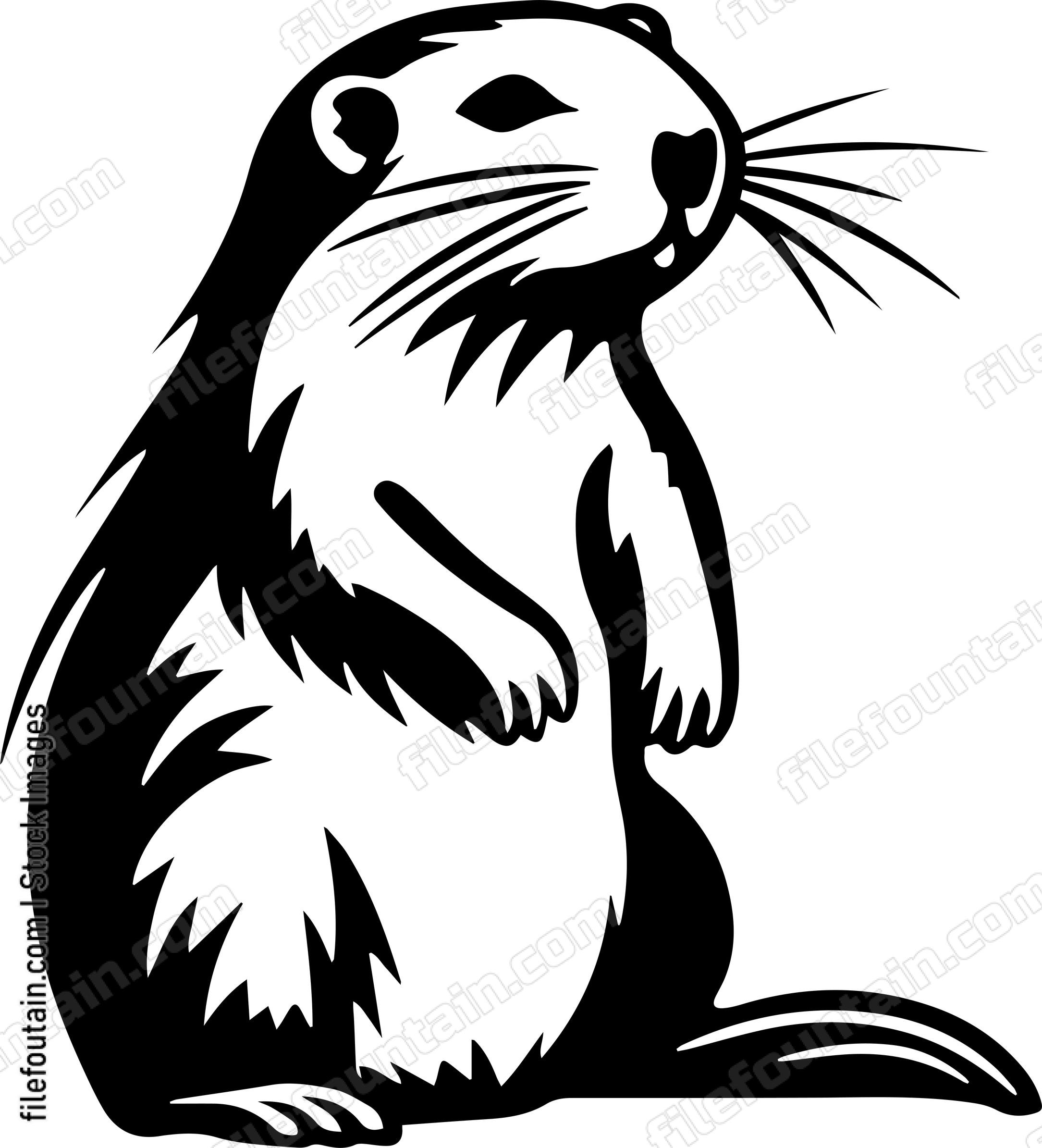 Beaver