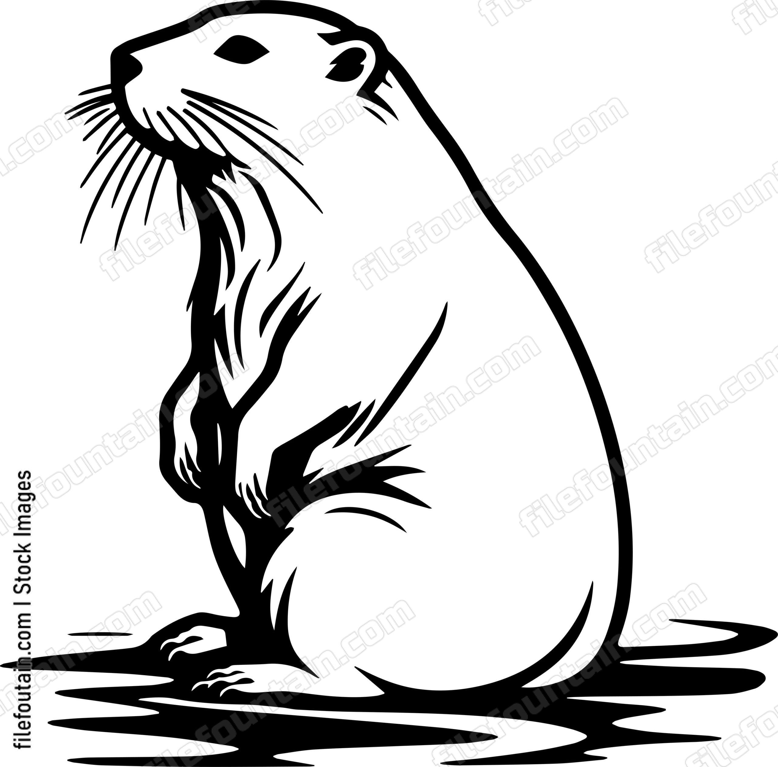 Beaver
