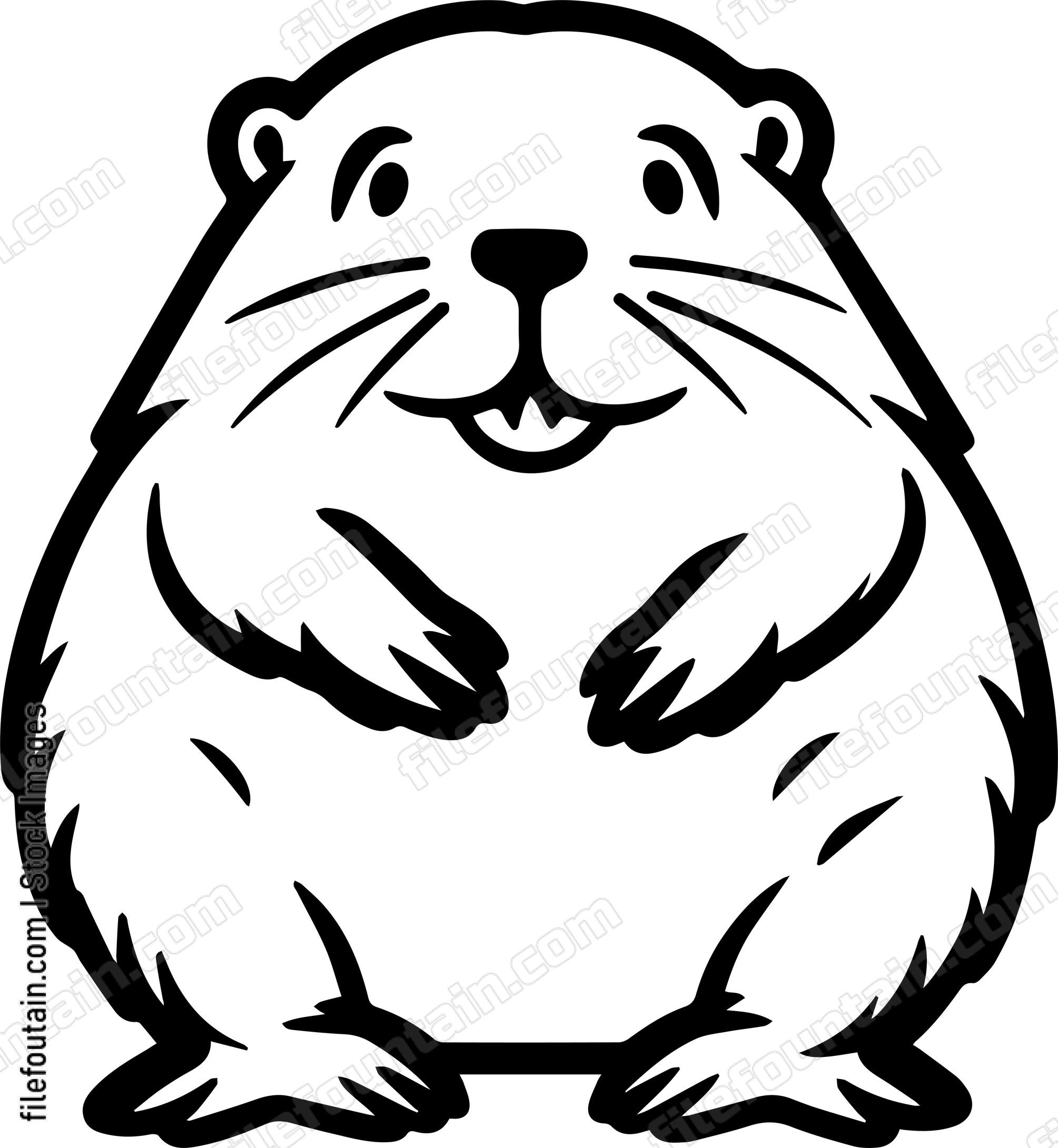 Beaver