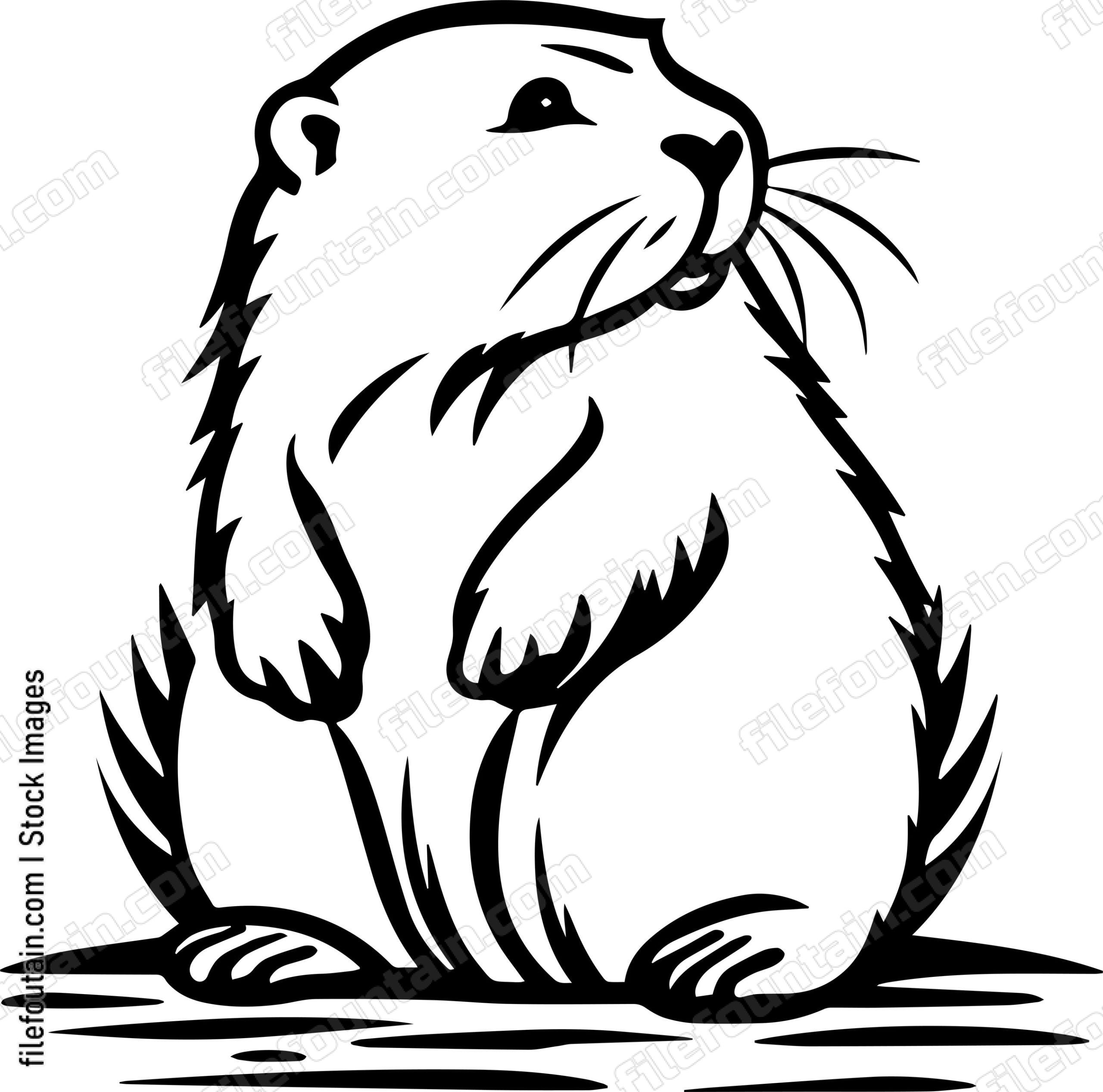 Beaver