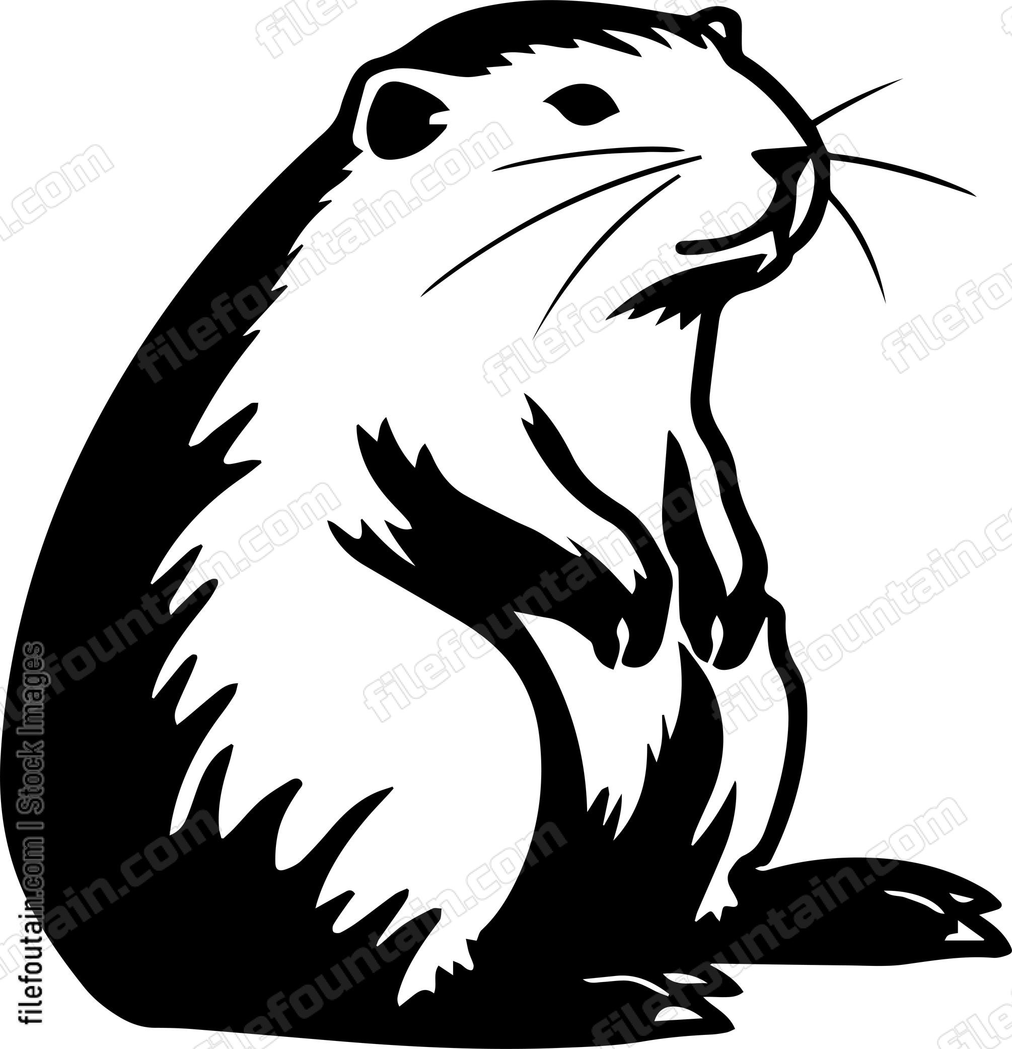 Beaver