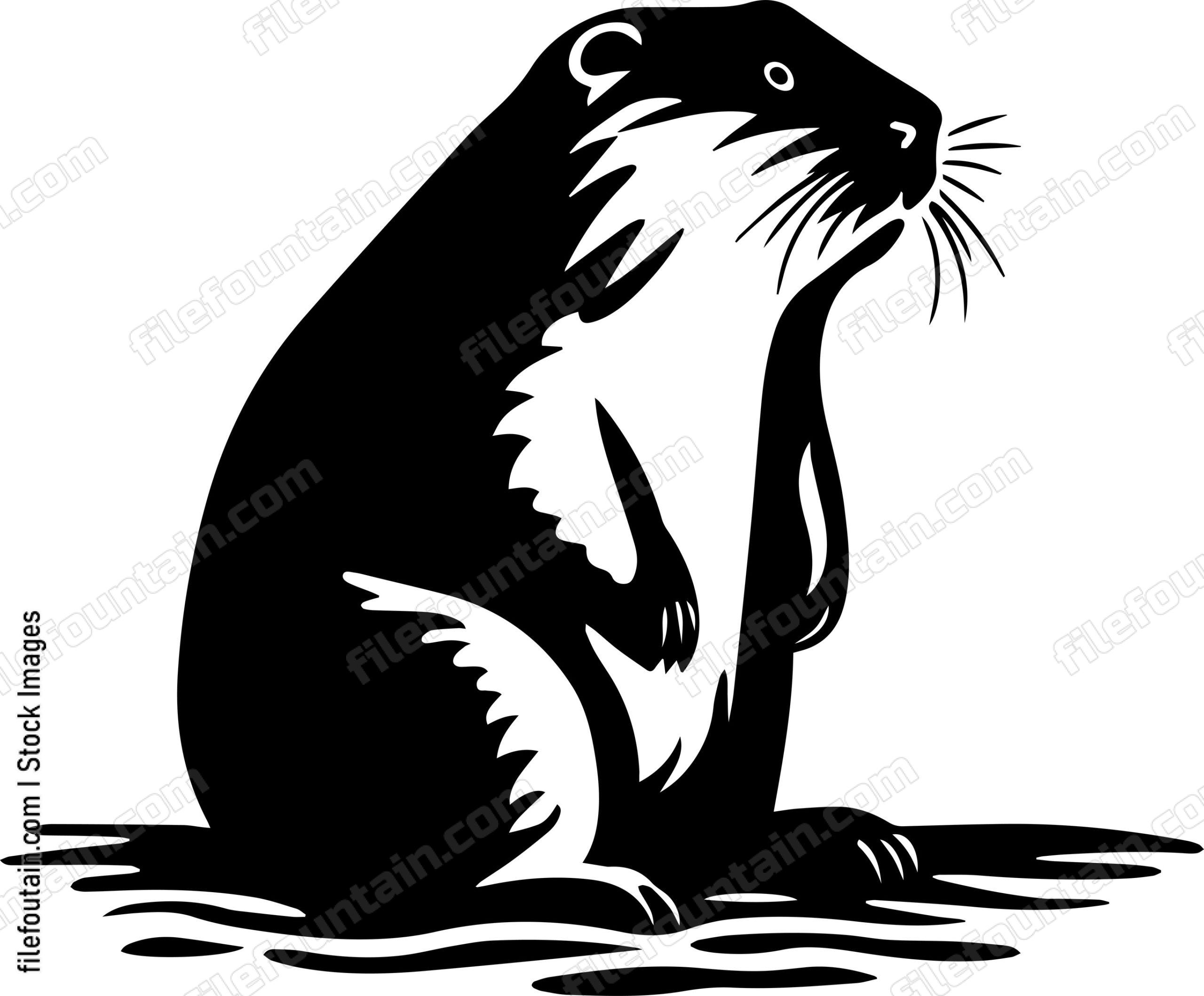 Beaver