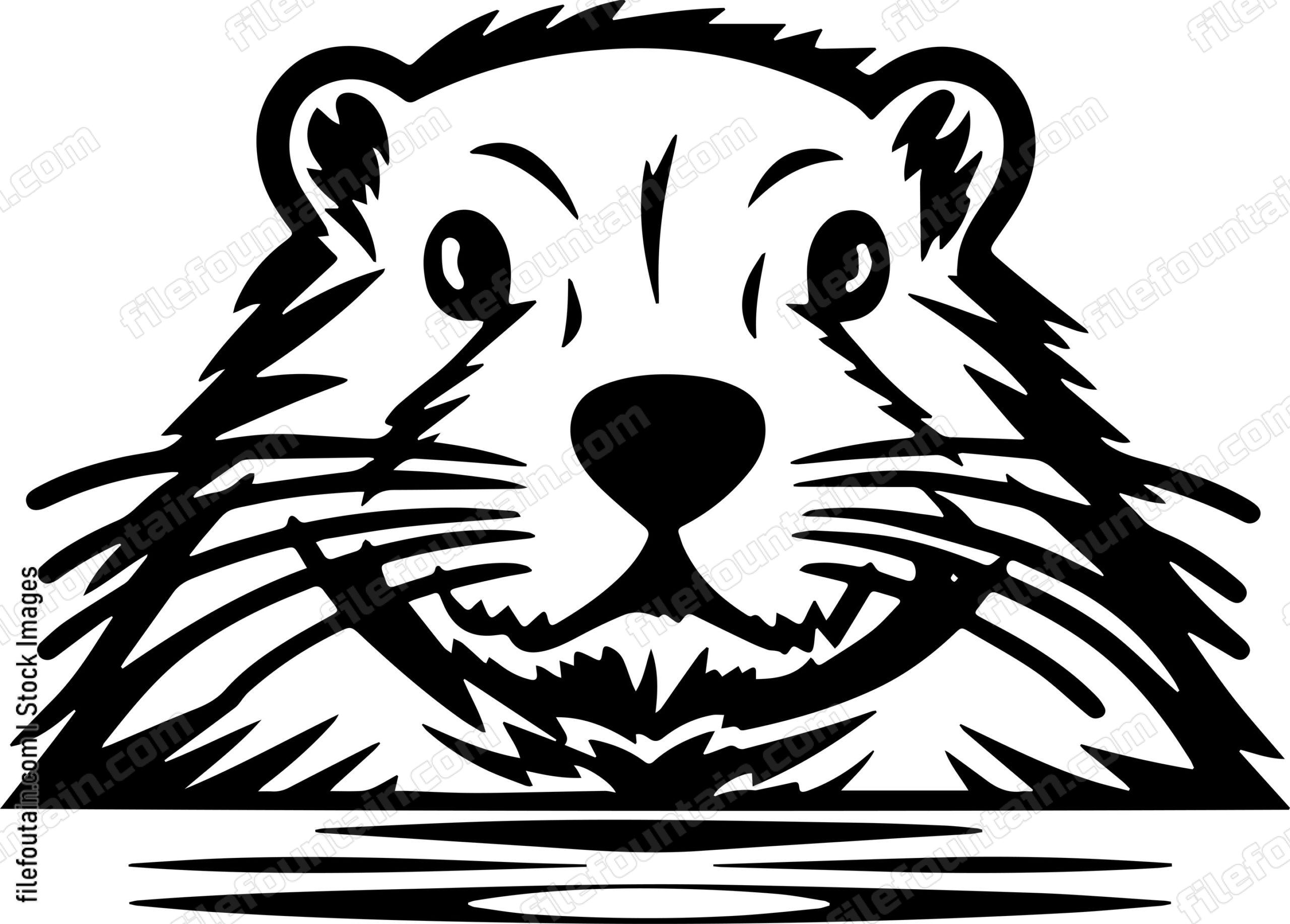 Beaver
