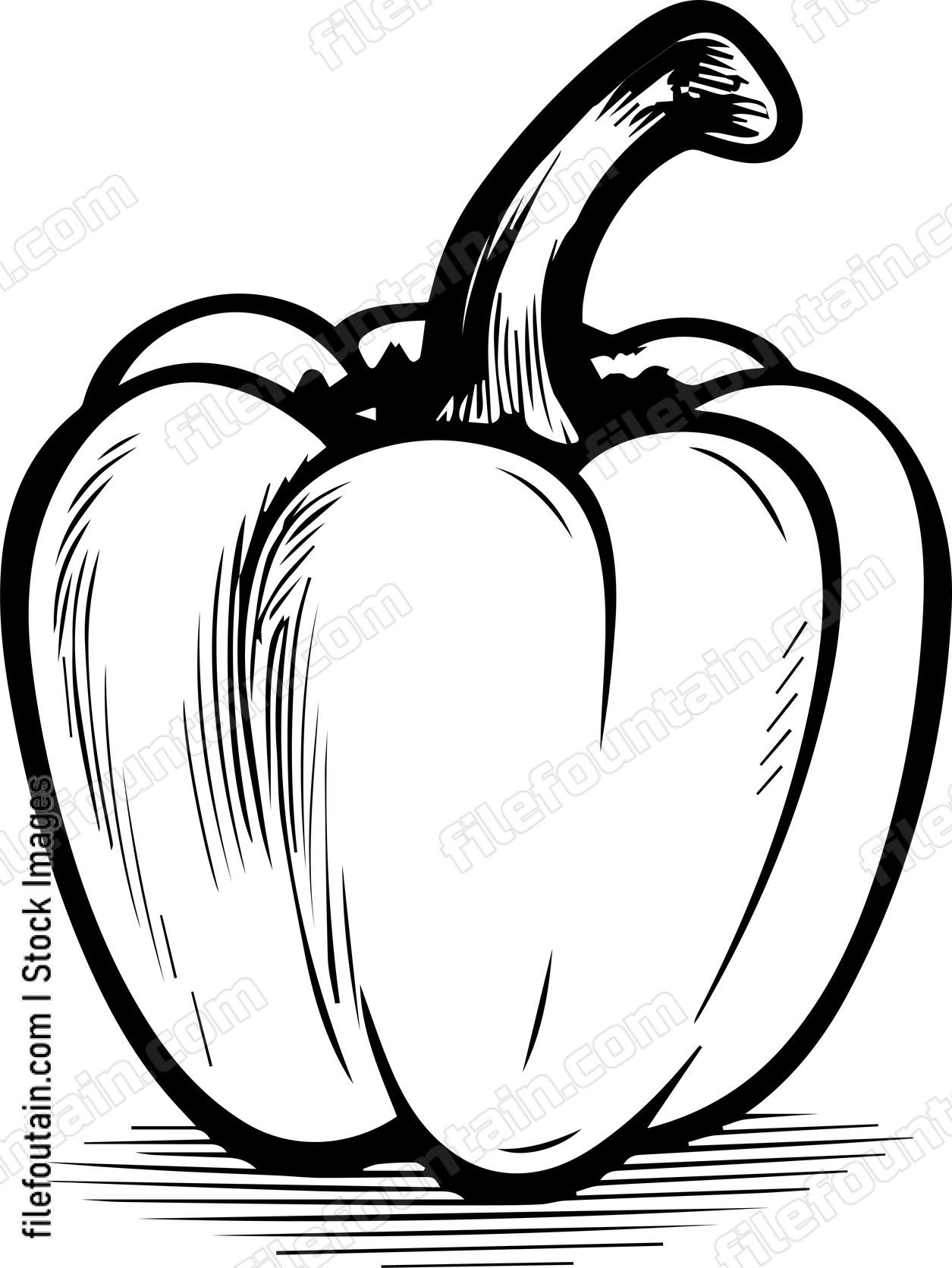 Bell pepper