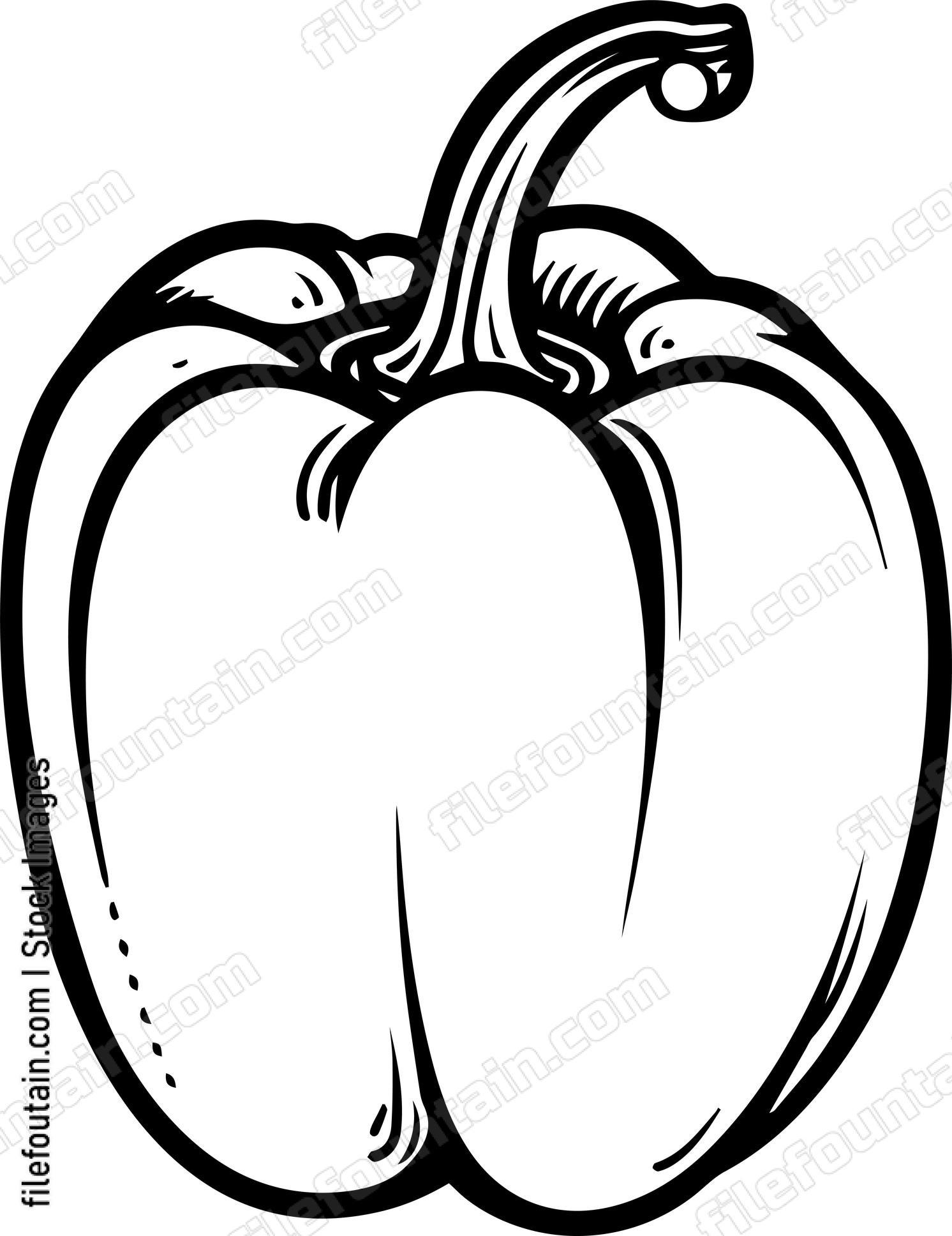 Bell pepper
