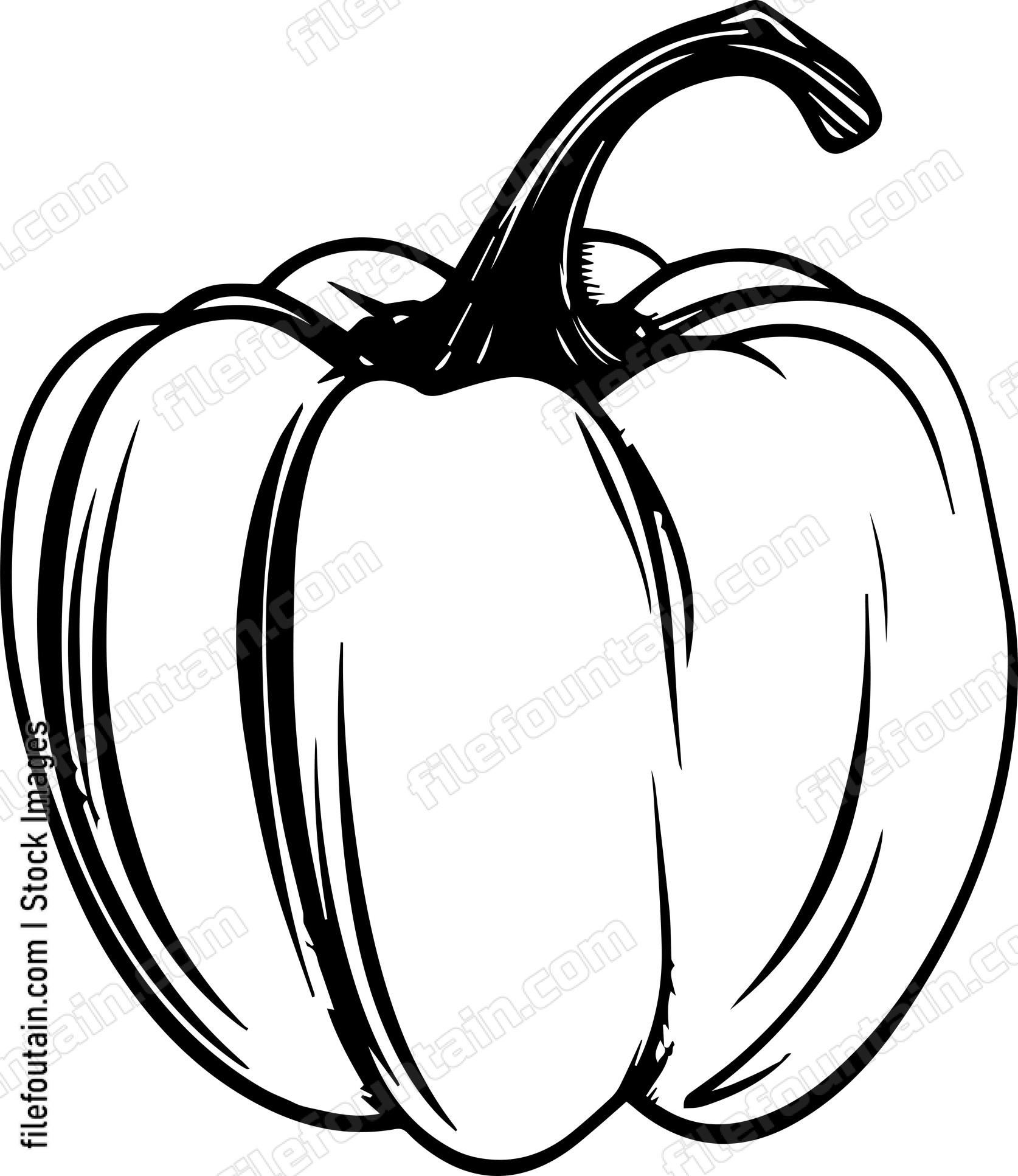 Bell pepper