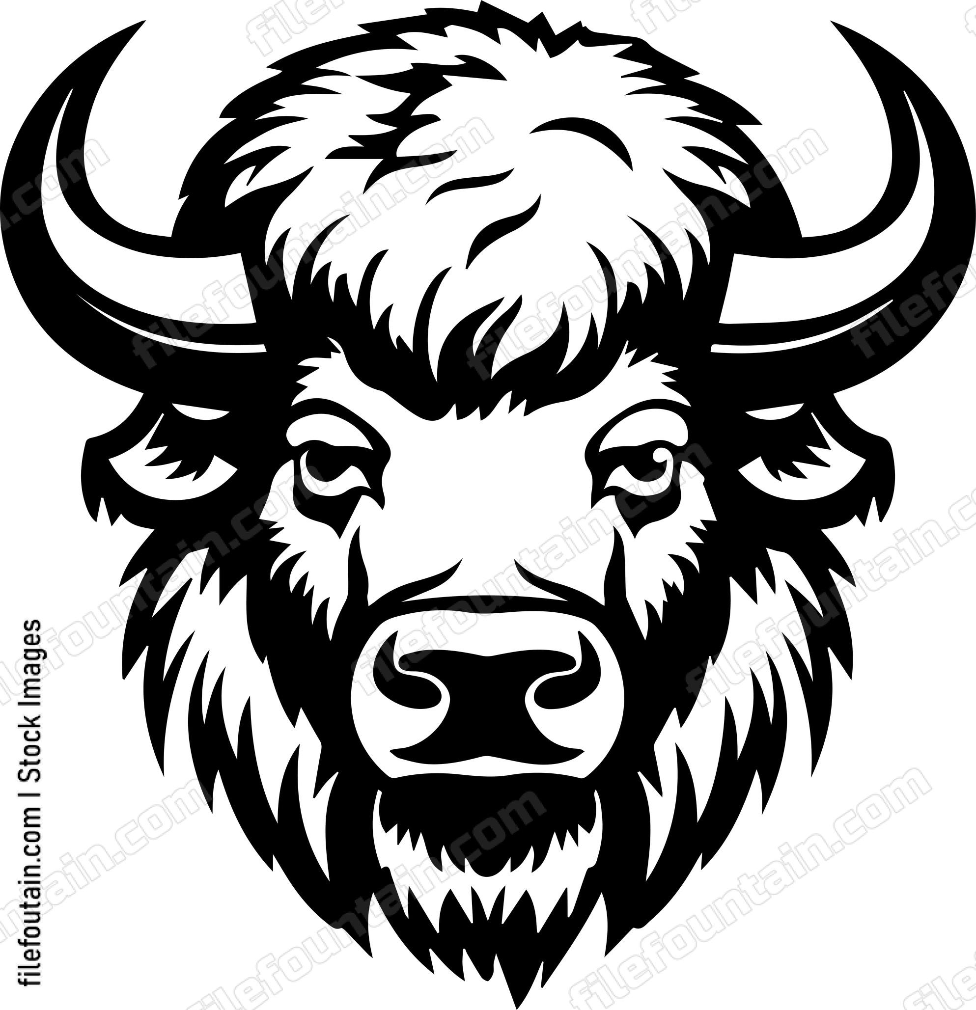 Bison