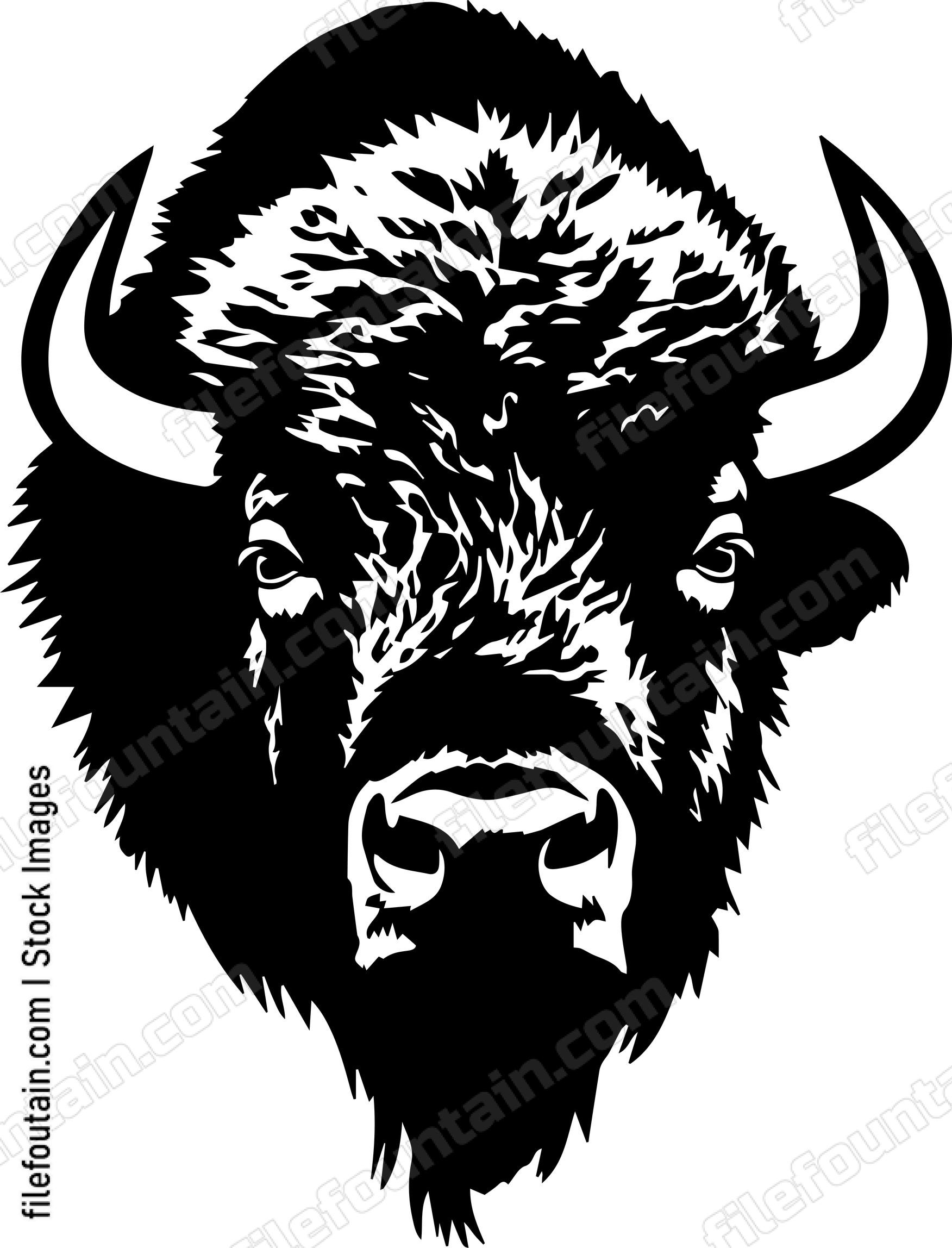 Bison
